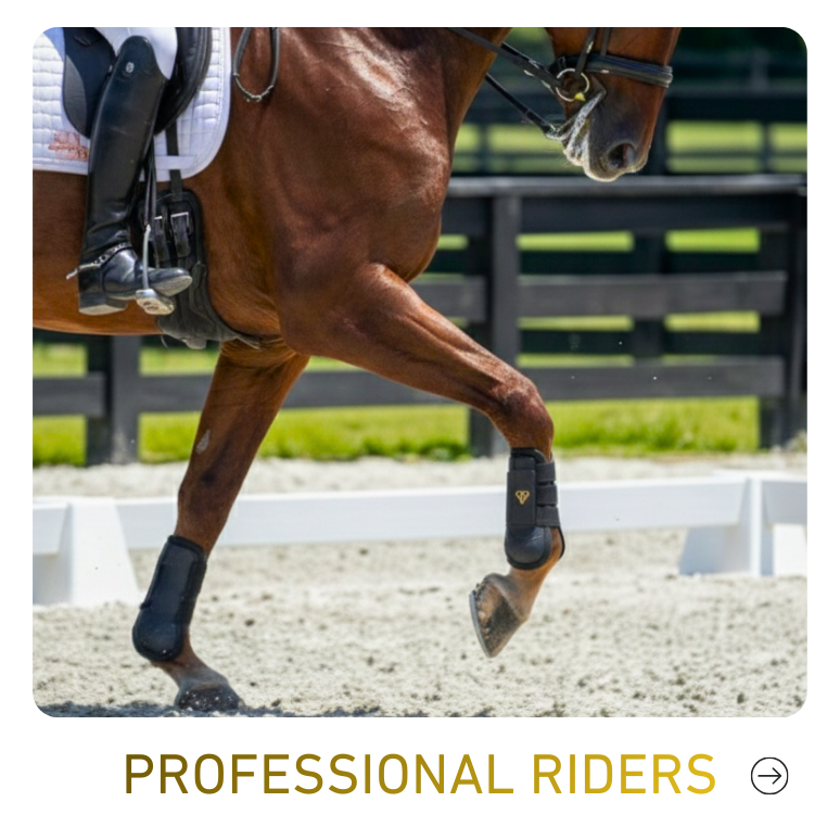 Ein Pferd mit Reiter, der auf einem Reitplatz trainiert, trägt Reitbekleidung und Pferdebandagen.