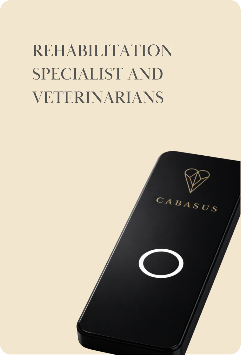 Compensation before clinical lameness - 2026-06-19T082344.792.png