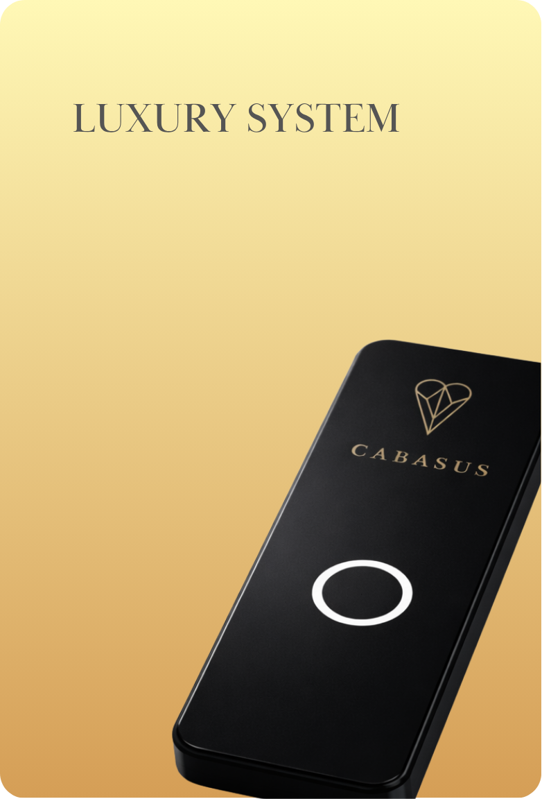 Luxury System