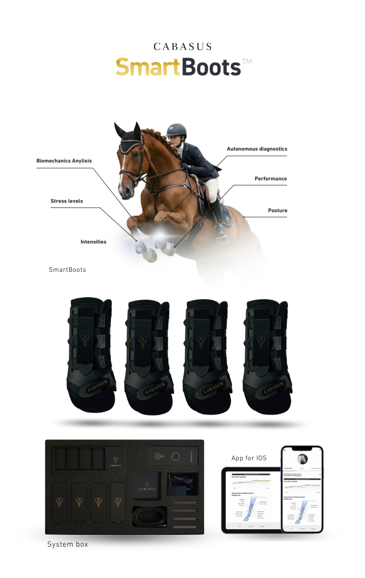 SmartBoots™  Subscription