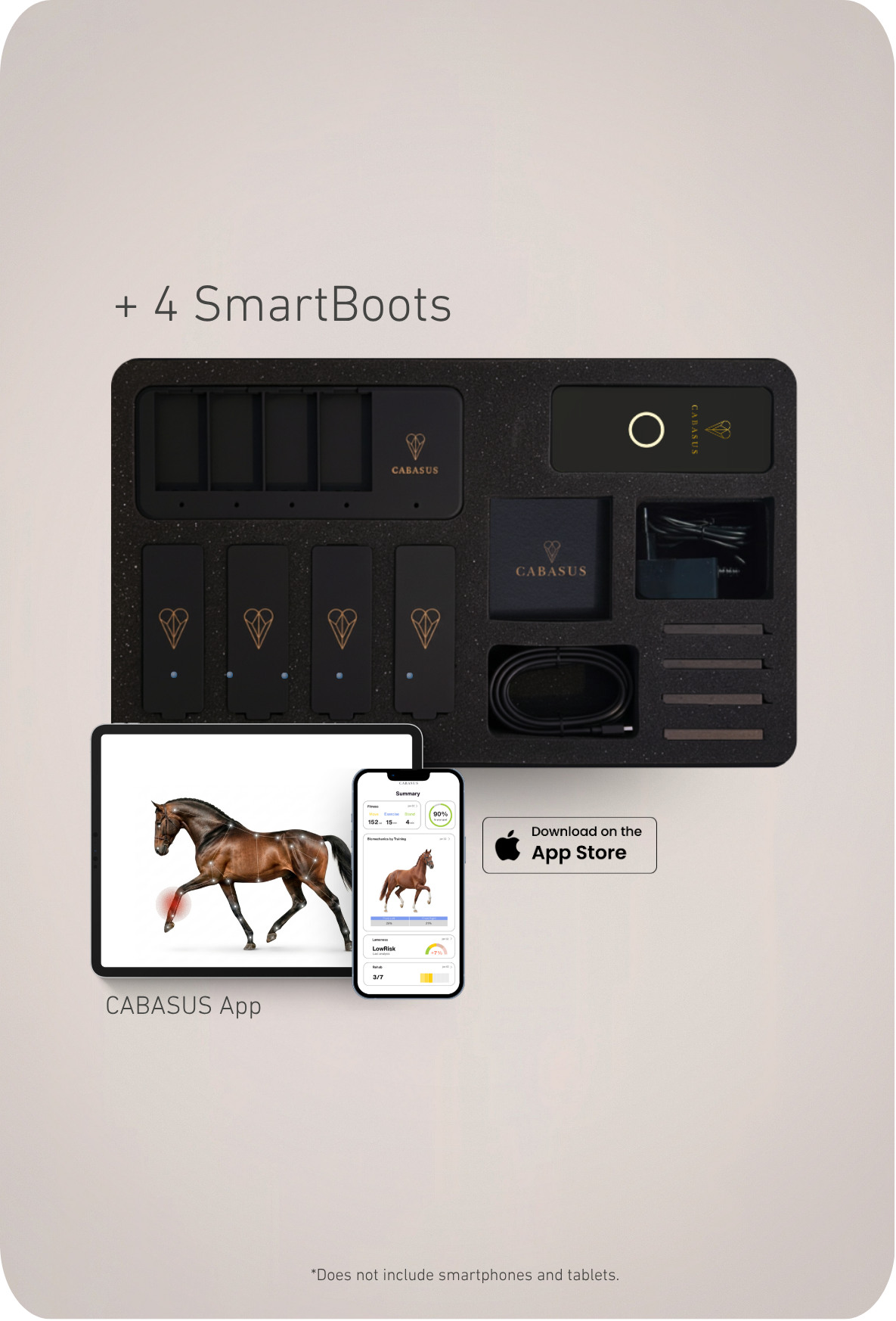 Training System