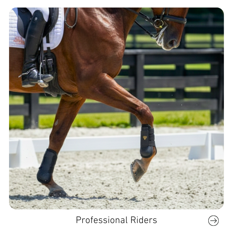 Nahaufnahme eines pferdes, das an einem Reitturnier teilnimmt. Das Pferd trägt Reitstiefel und einen Sattel, die Reiter beinhalten Sicherheitsausrüstung. Die Szenerie ist ein Reitplatz mit Sandboden und Begrenzung. Überschrift: Professional Riders.