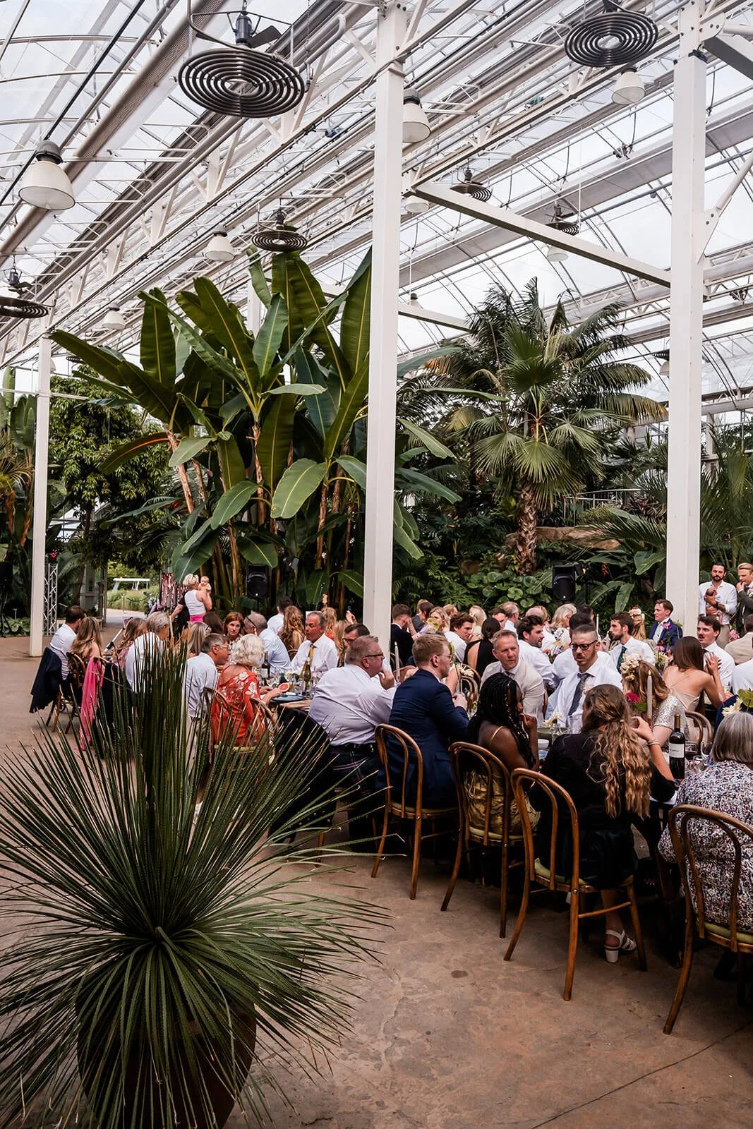 Rhs-wisley-wedding17.jpg