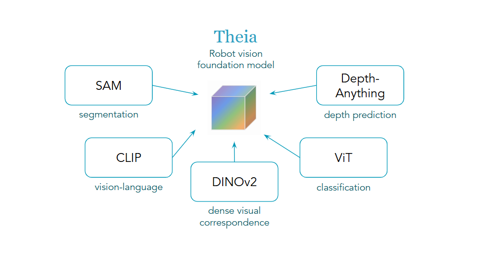 Distilling diverse vision foundation models to improve robot learning