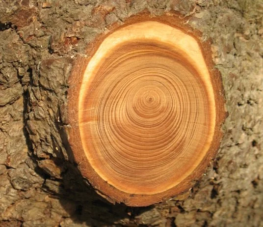 Sunday Service with Rob Oulton