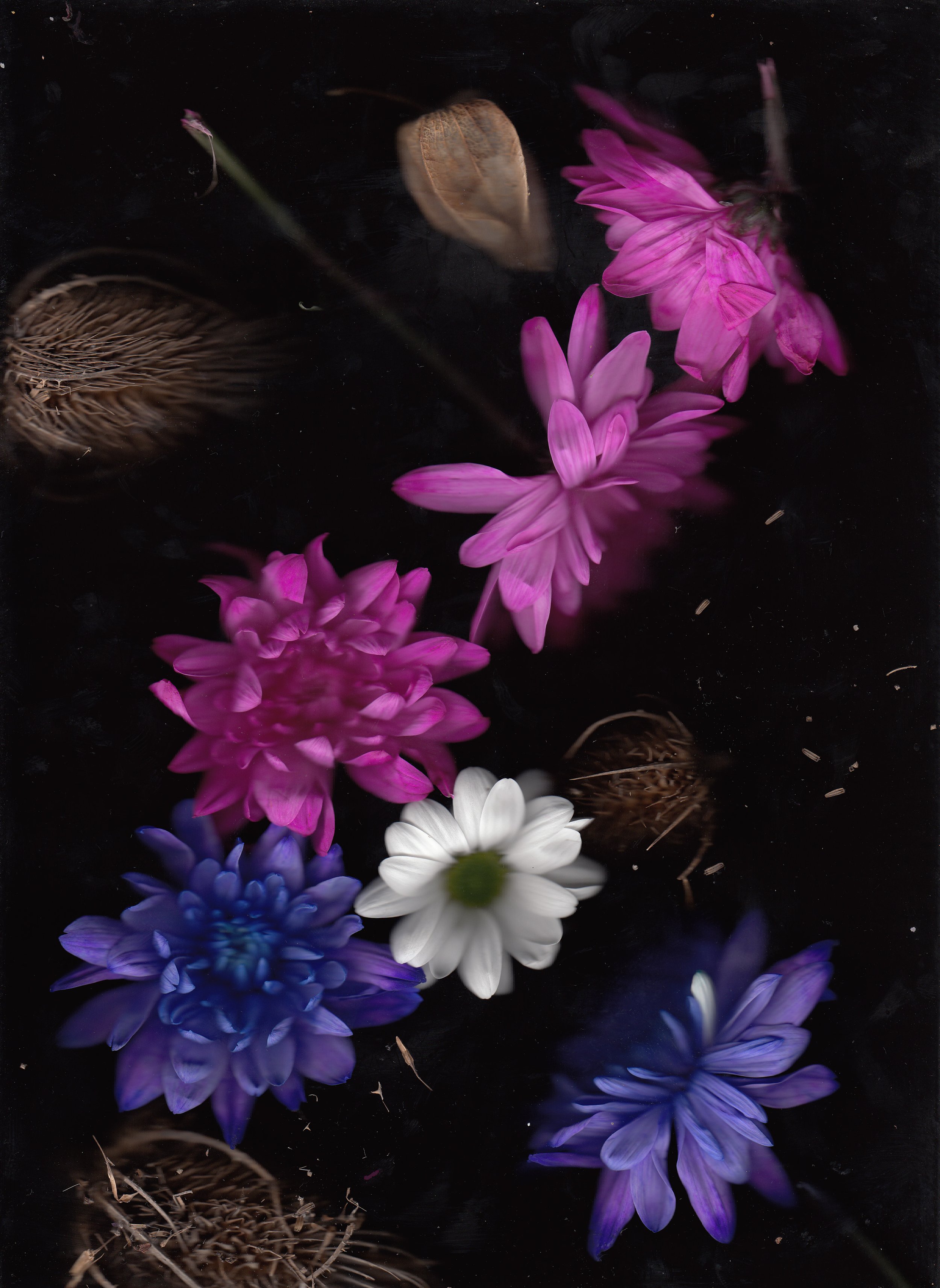 Untitled-1.jpg