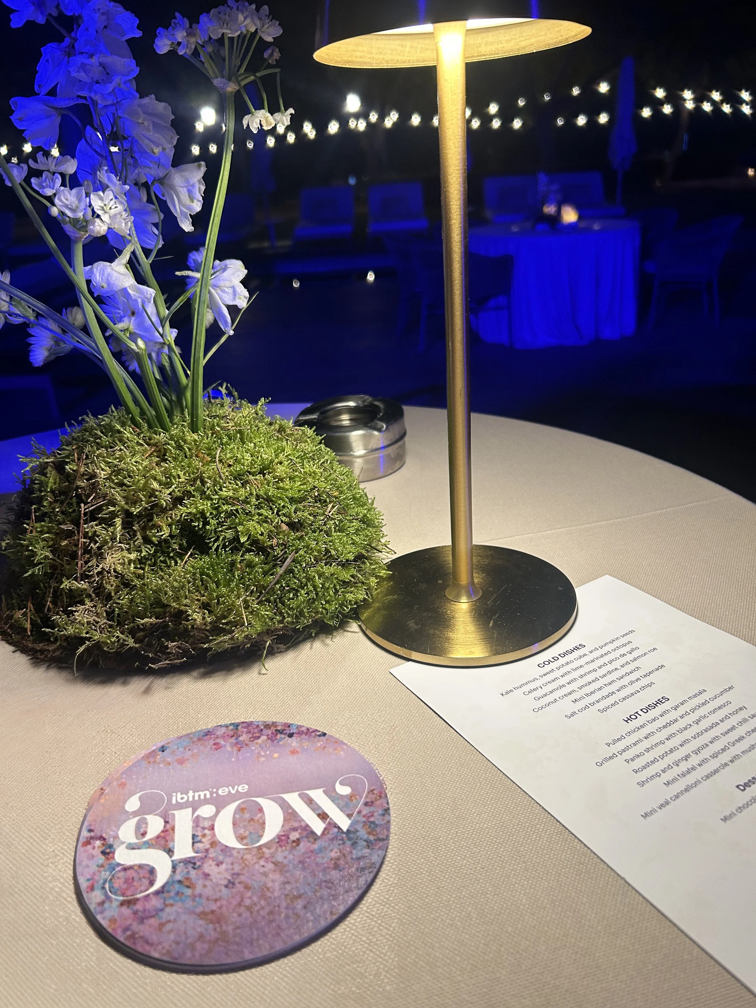 IMG_1480 - place mats.jpg