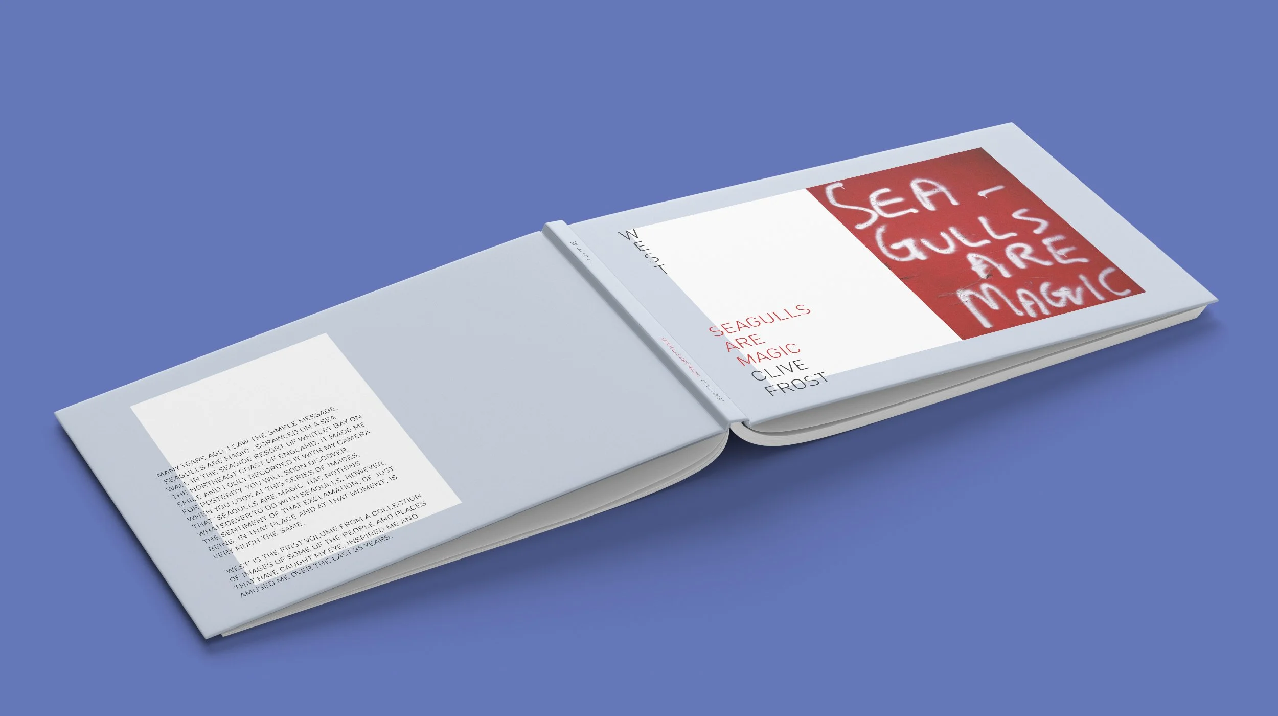 Seagulls_Horizontal_Book_Mockup_7.jpg