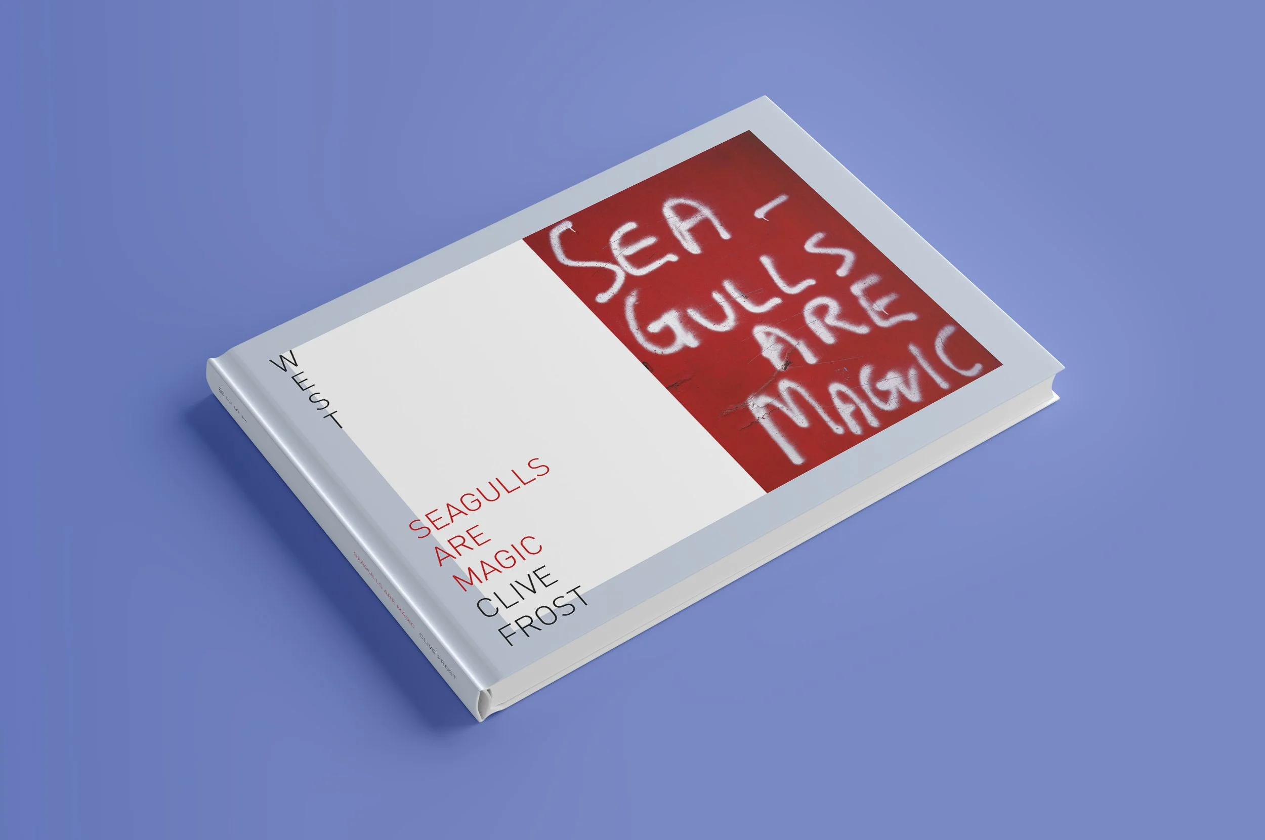 Seagulls-cover-front-Book-Mockup.jpg