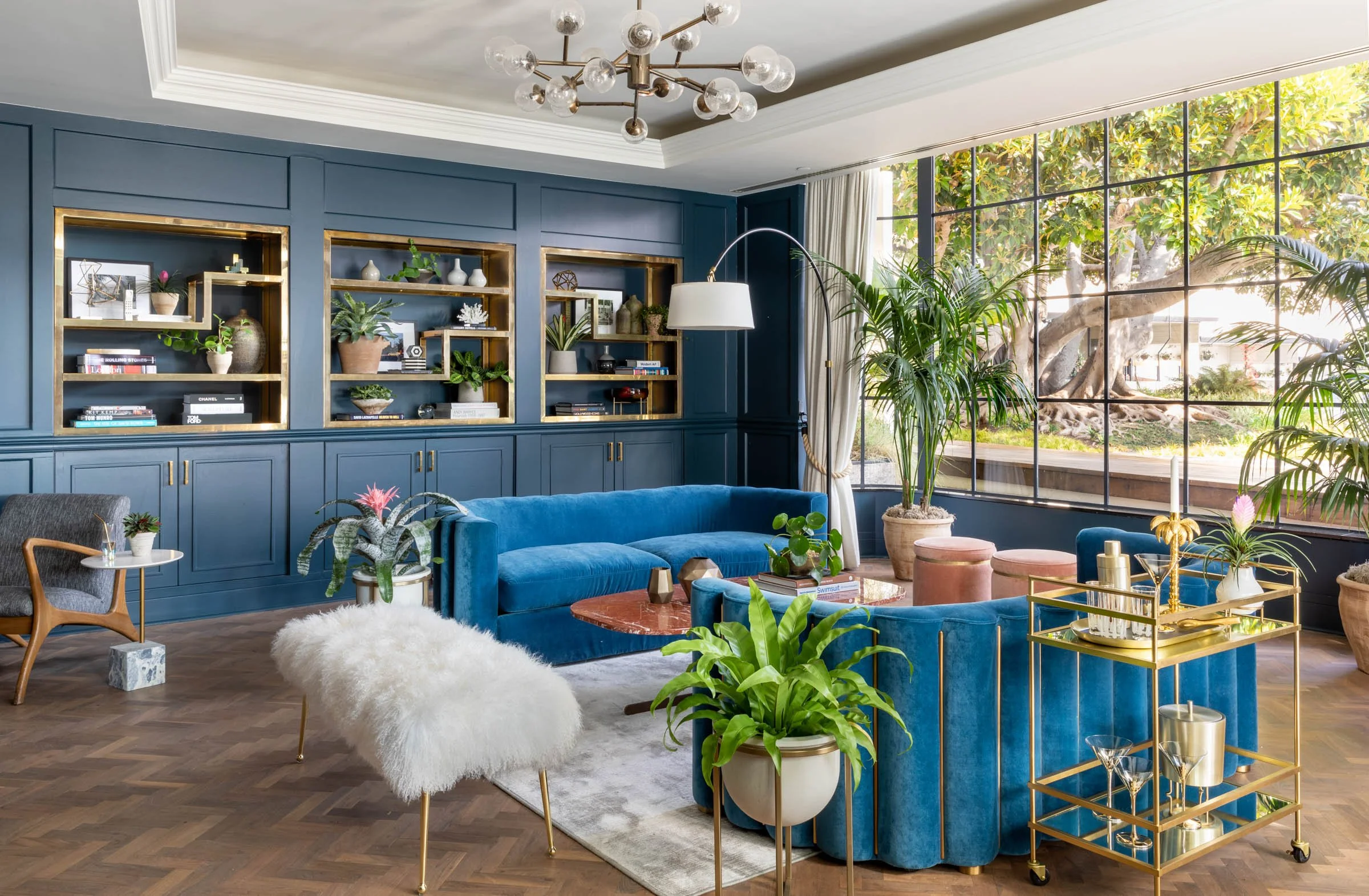 Jones Library - Fig Tree View.jpg