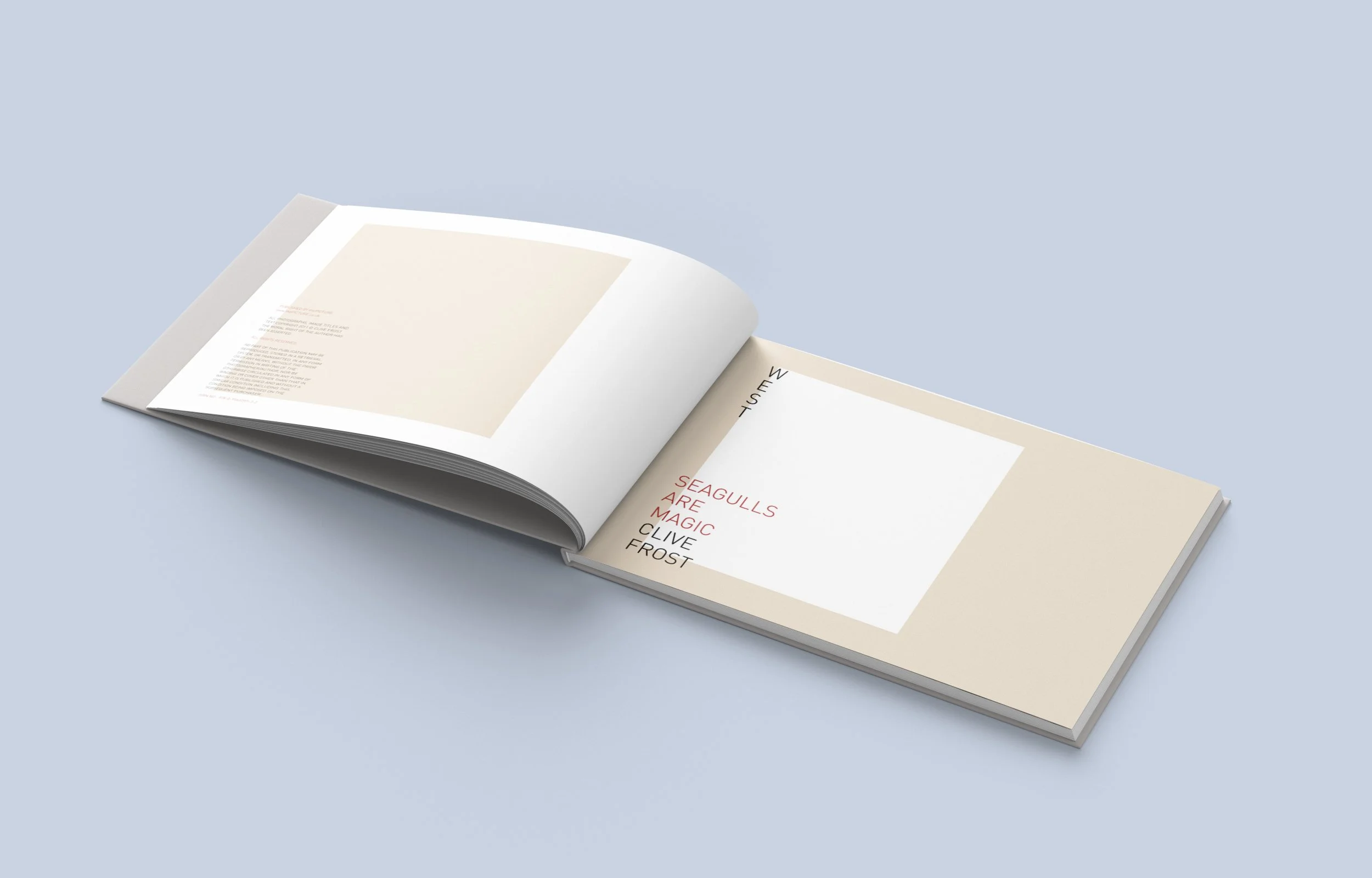 seagulls-spread1-Horizontal_Book_Mockup_2.jpg