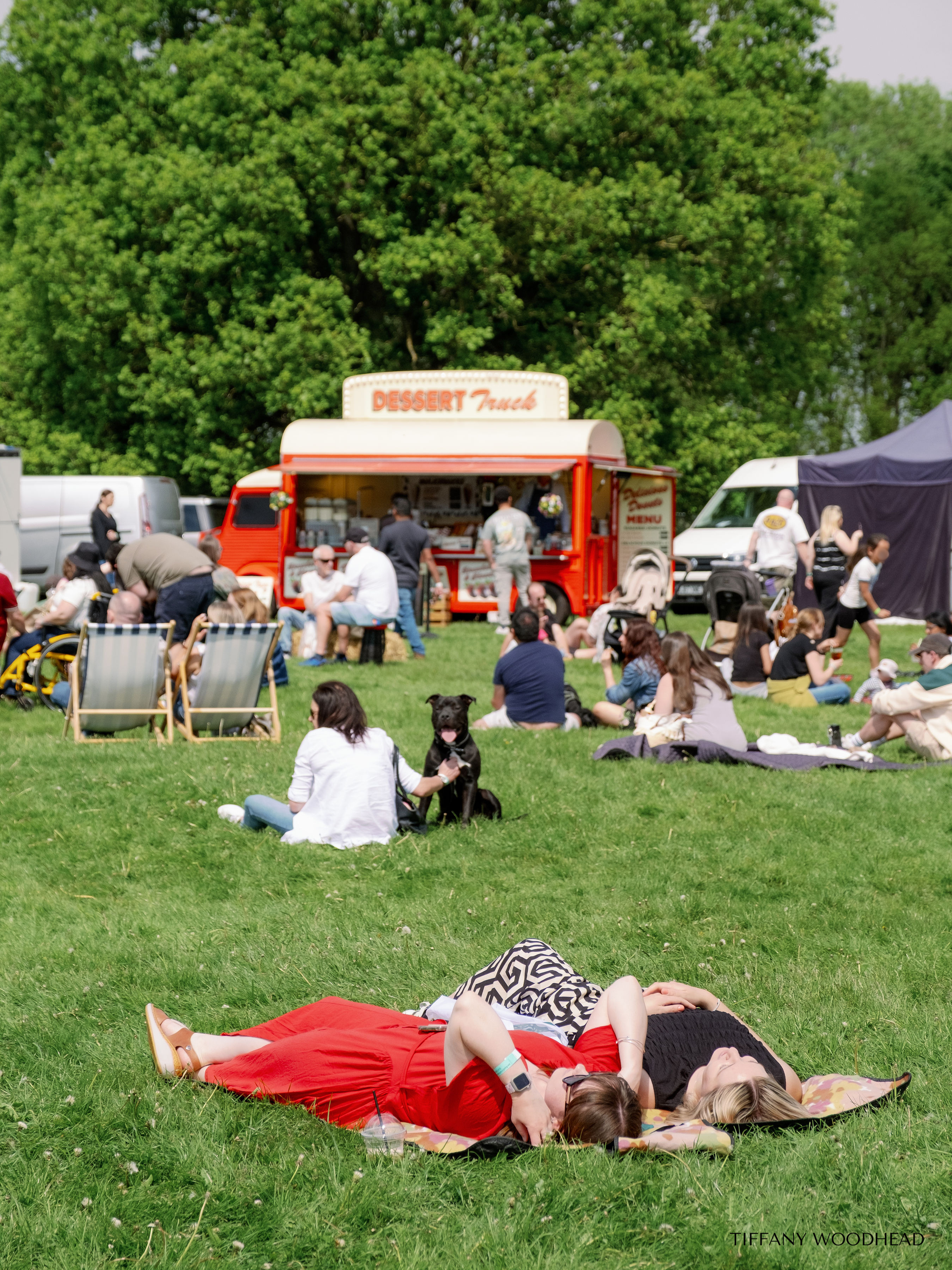 People relaxing on a grassy field at an outdoor event, with a red food truck and large green trees in the background. Some are sitting on chairs, others lying on blankets, and a dog is in the foreground. The scene appears to be casual and social.