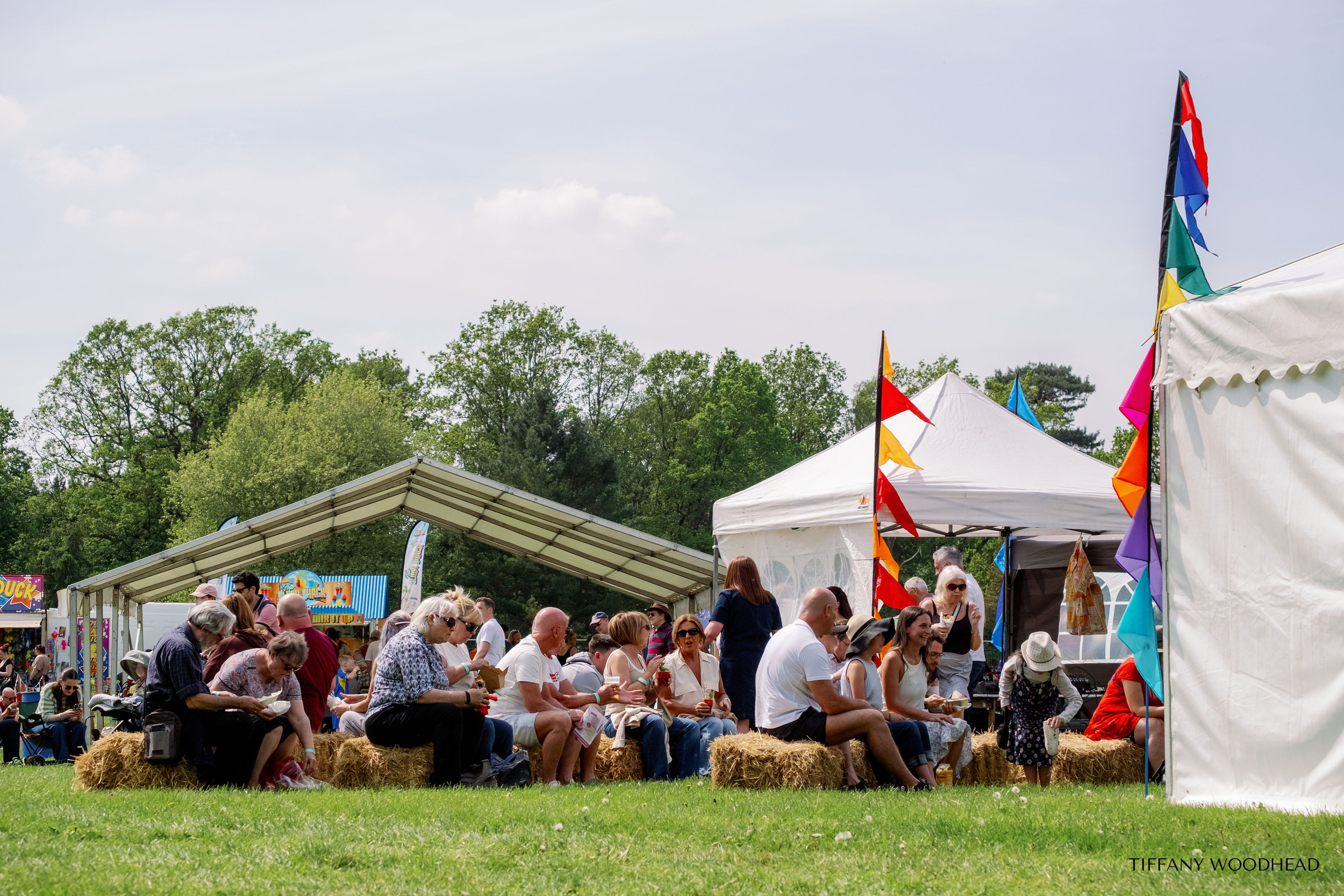 Crowd of people sitting and standing near white tents with colorful flags, in a park-like setting with trees and cloudy sky.