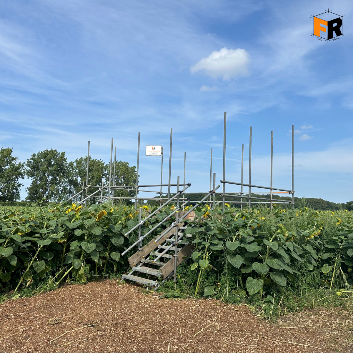 My project-39 (6).png