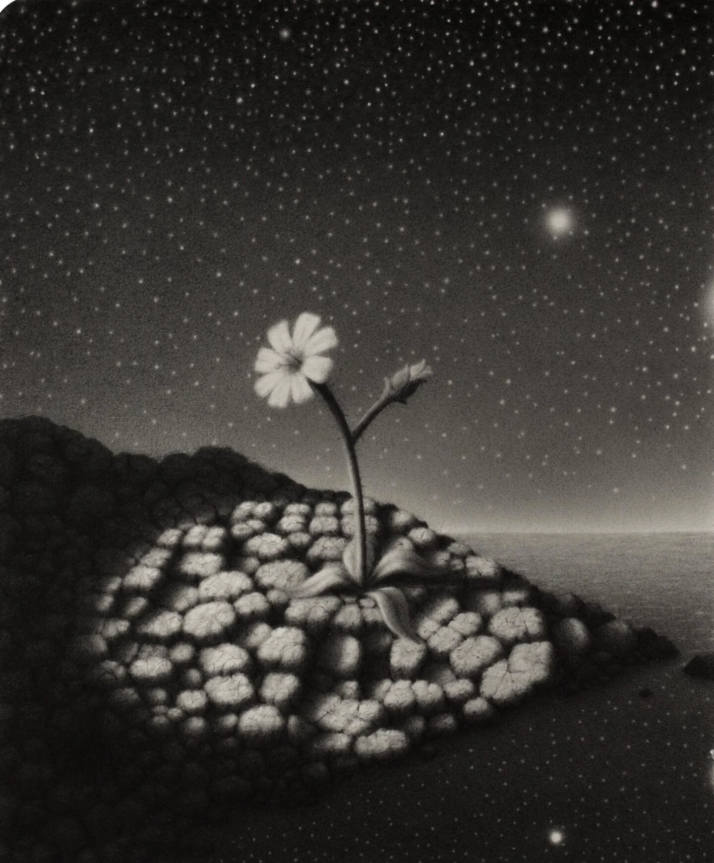 &lsquo;within light&rsquo;

graphite on @moleskine paper 
5 X 6&rdquo;
2019