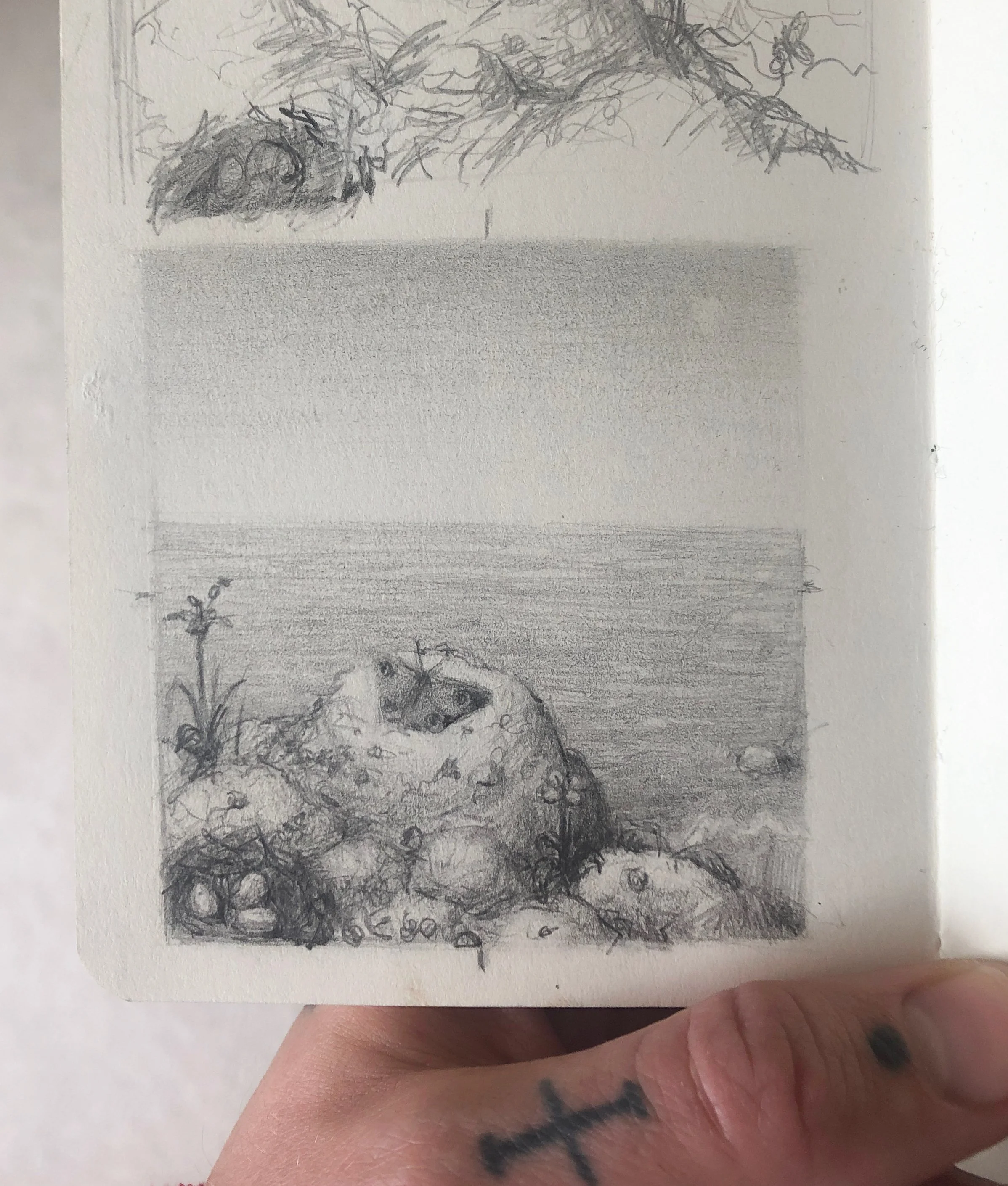 IMG_433 WEBSITE-69.jpg