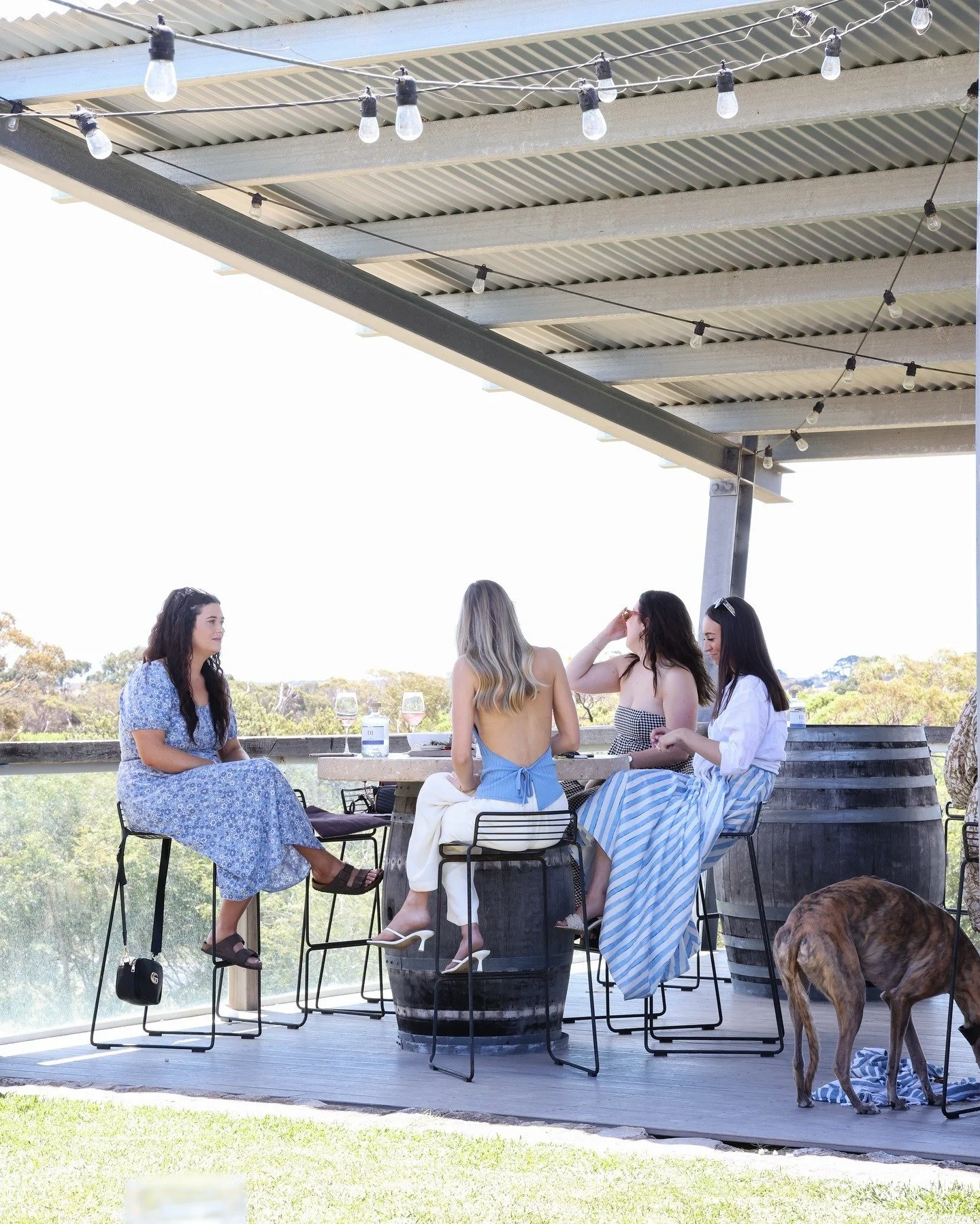 Guests who have brought their dog along; enjoying wine, snacks, and sun at barrel tables underneath the Cape Jaffa Wines covered deck — it's a casual vibes with live music in the background and coastal wines to enjoy.