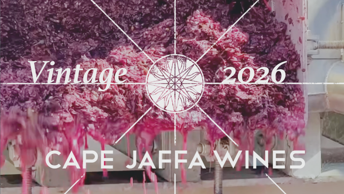 Vintage 2026