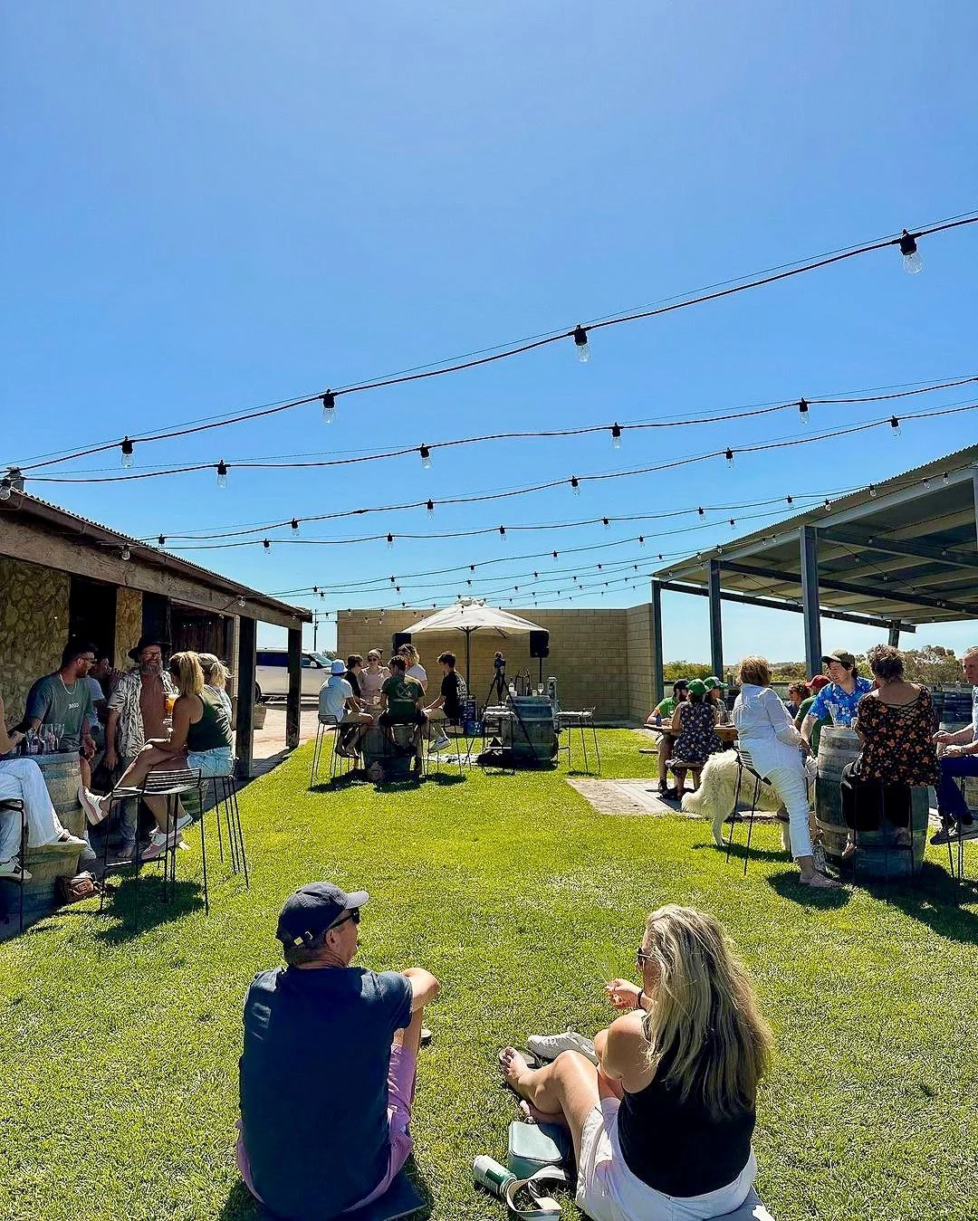 Summertime vineyard view from Cape Jaffa Wines Cellar Door; live music, craft beer, and relaxed country hospitality on the Limestone Coast.