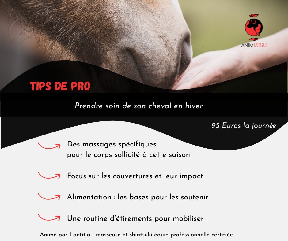 Stage MASSAGE EQUIN - avec Laetitia Manoudi