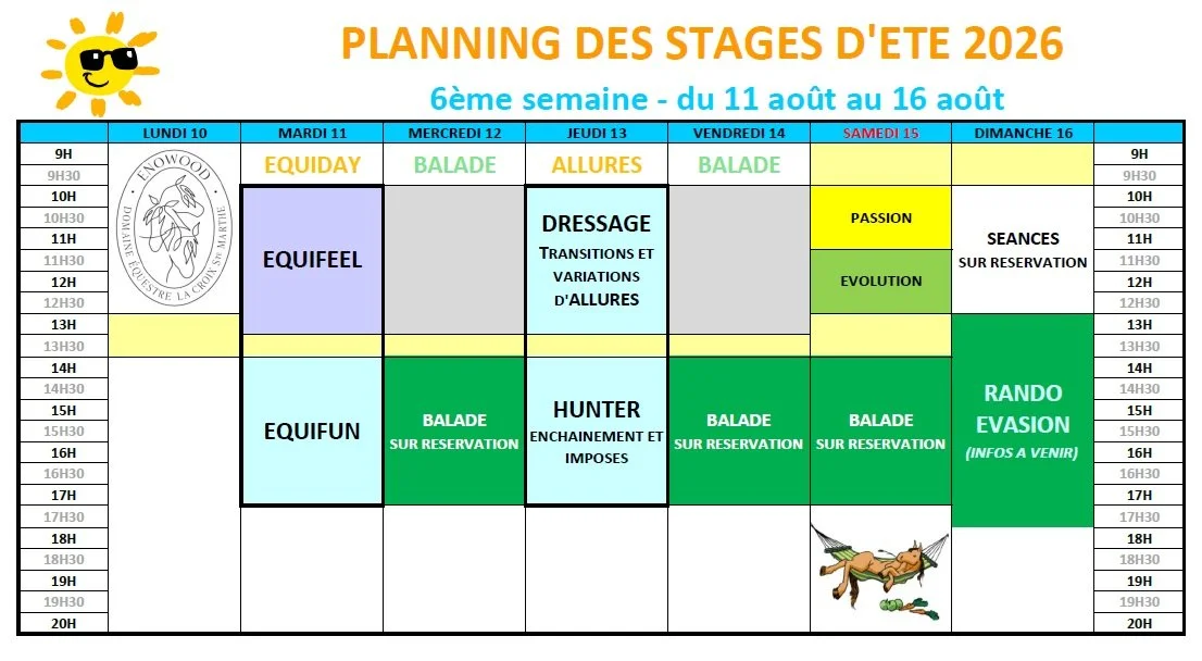 Stages d'été - Août - Semaine 6