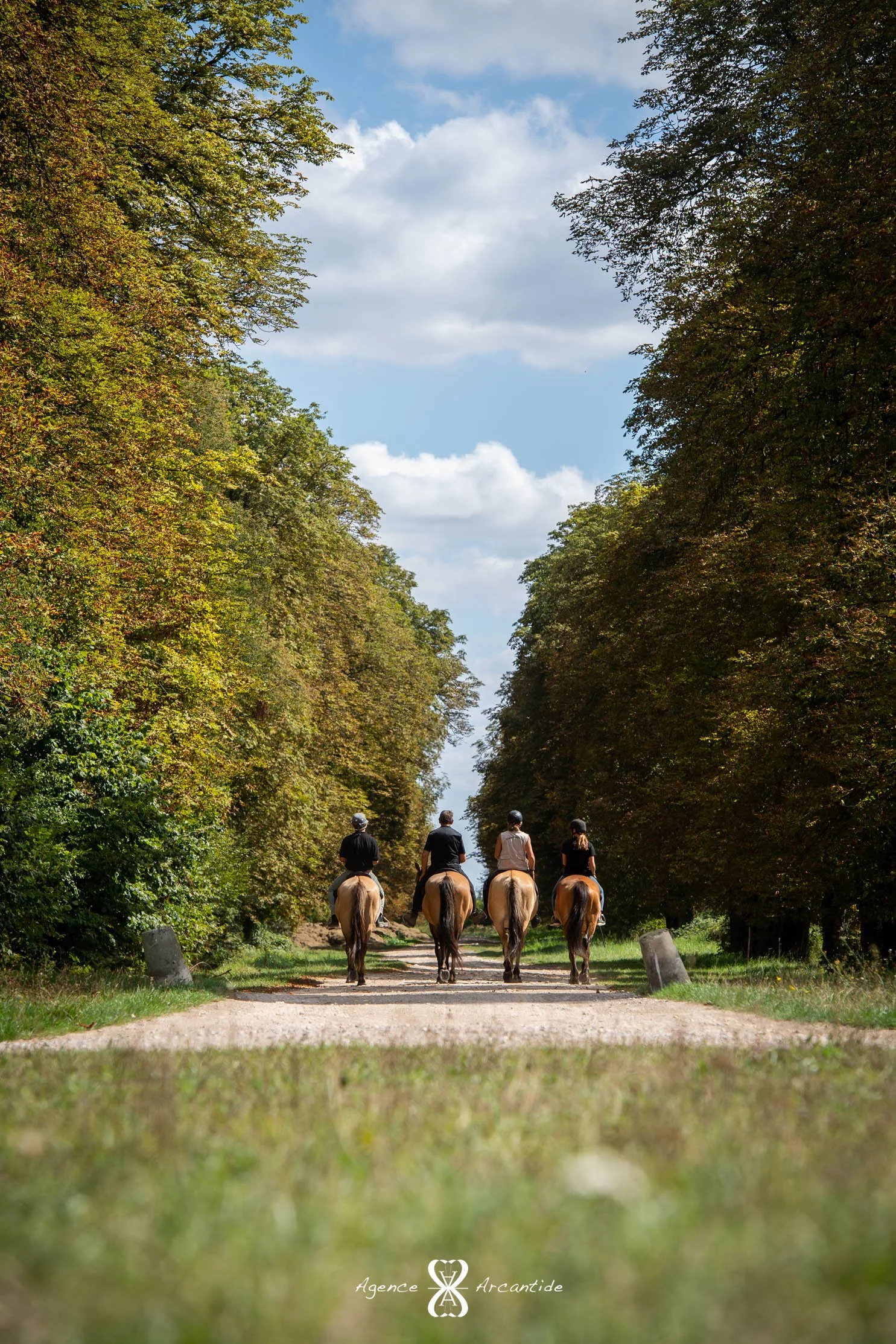 balade à cheval henson enowood