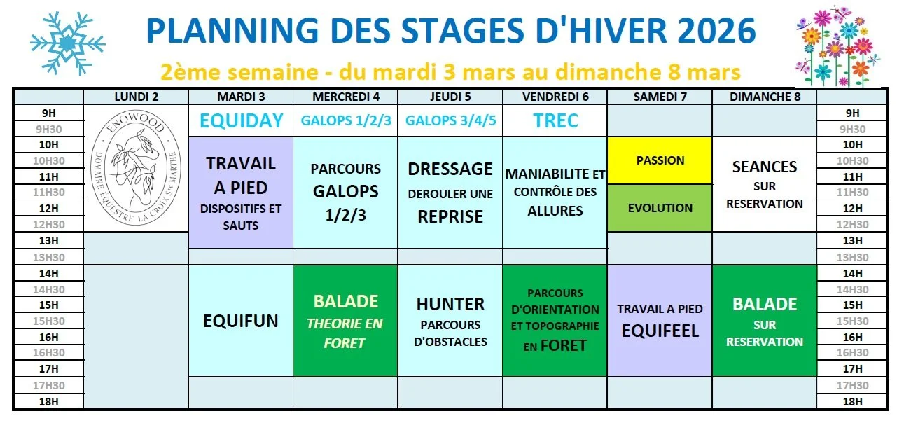 planning stages équitation vacances hiver enowood