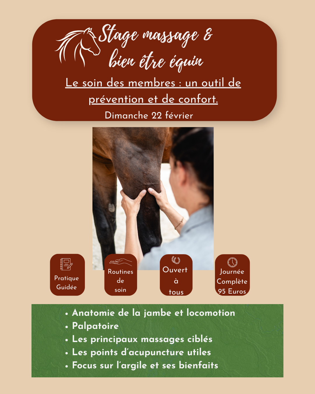 Stage Massage et Bien-être équin