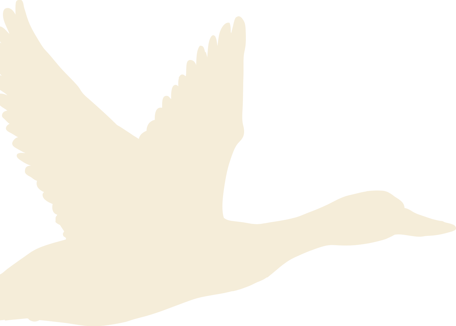 A white silhouette of a bird flying with its wings spread wide, against a black background.