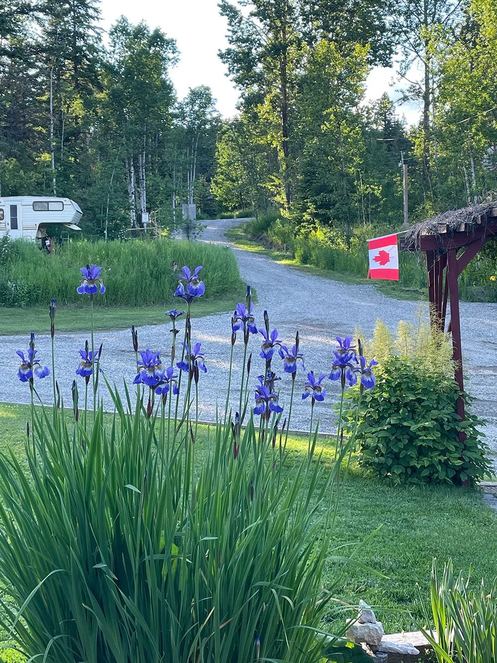 A gravel driveway curves through a lush yard with purple irises in the foreground, a Canadian flag on a post, and trees lining the background.