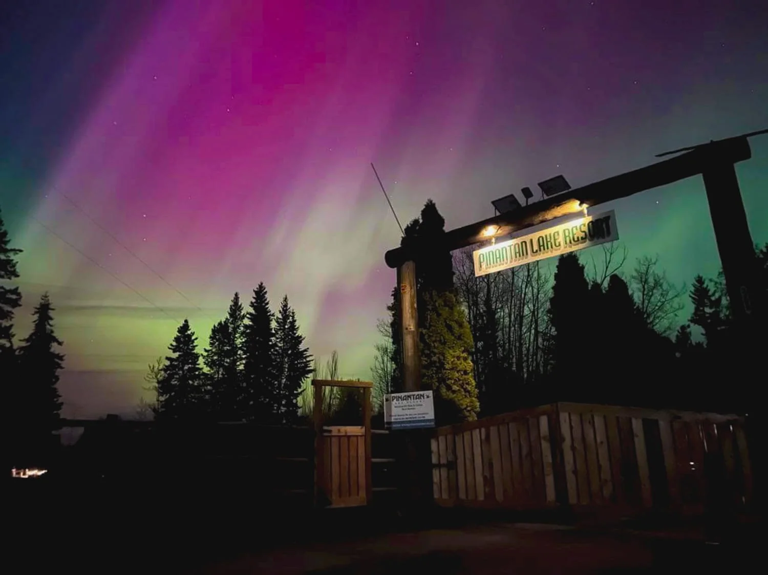 Night sky with vibrant green, pink, and purple northern lights over Pineartain Lake Resort sign, surrounded by silhouette trees and a wooden fence.