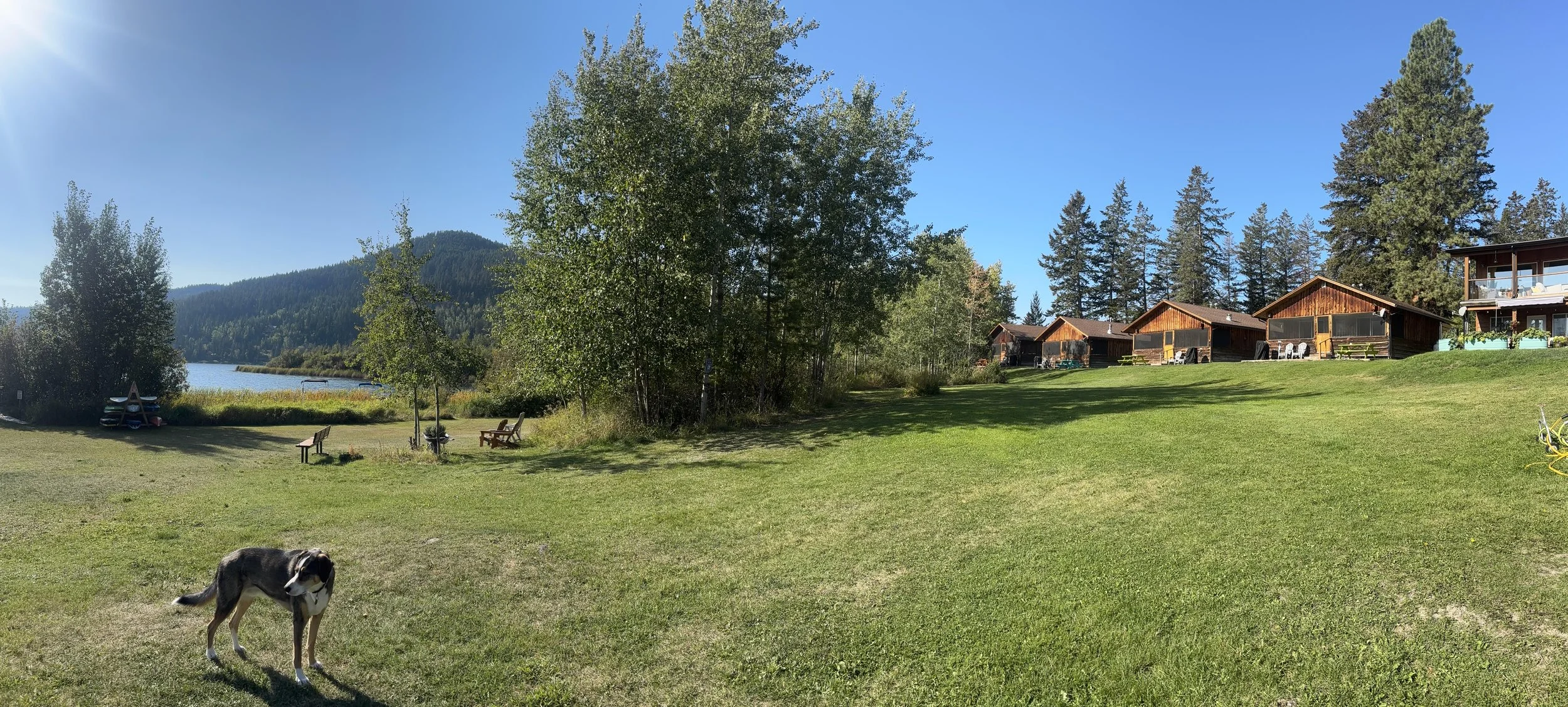 Cabin to Lakefront Pano