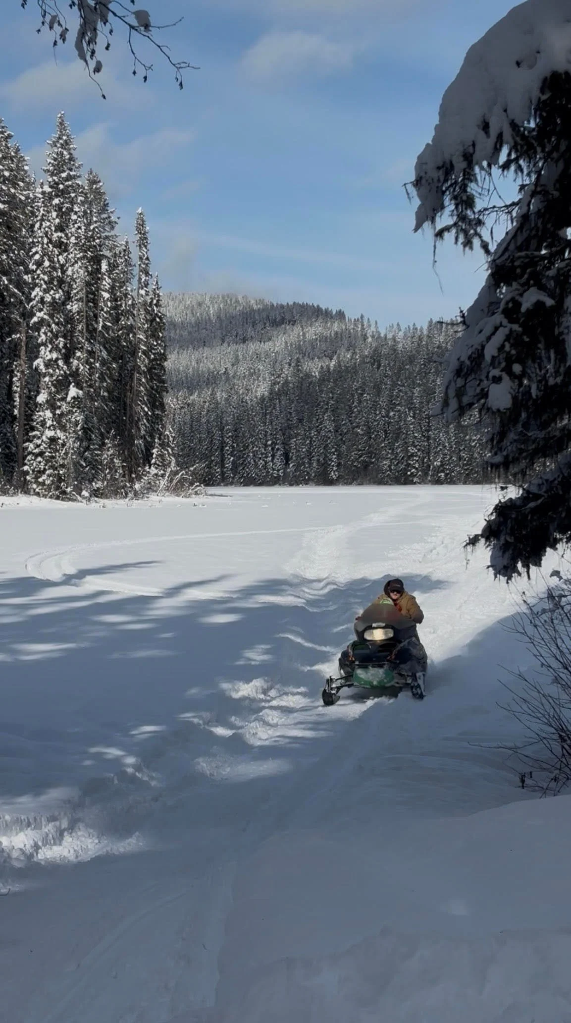 Person riding a snowmobile on a snow-covered trail in a forested area during winter, with snow on the trees and mountains in the background.