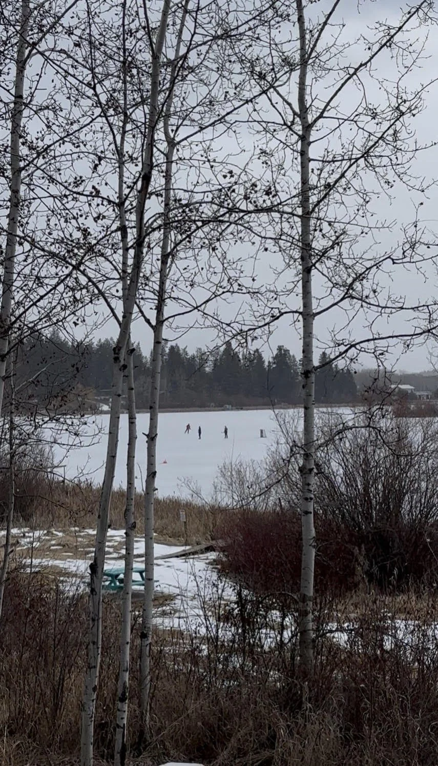 A winter scene of a frozen lake with three people ice skating, surrounded by bare trees with snow on the ground.