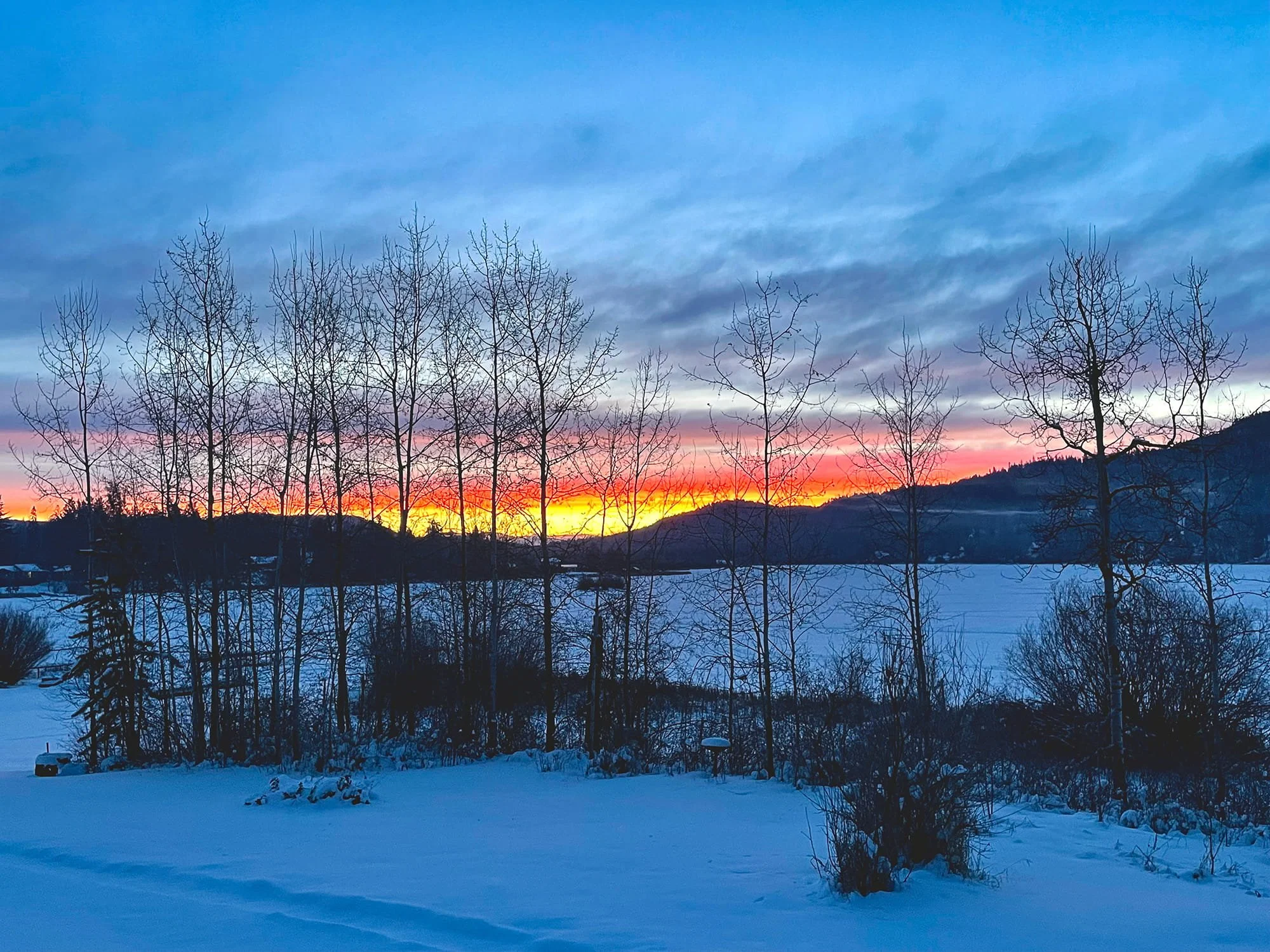 Snow-covered landscape with leafless trees at sunset, colorful sky with shades of purple, pink, orange, and blue, and distant mountains.