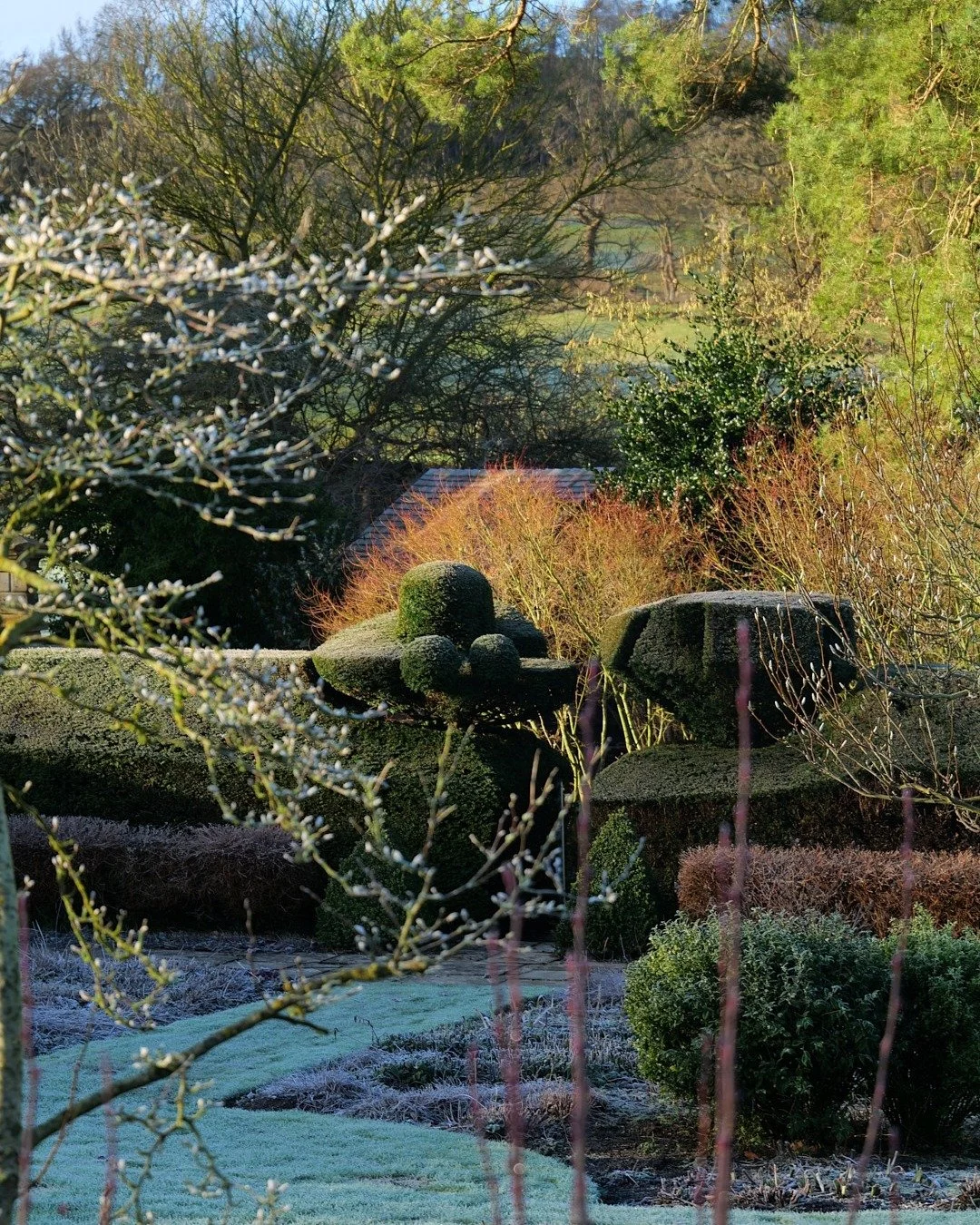 Winter light drifting over the garden at Pye Corner. 
.
.
.
.
#Cotswolds #WinterInTheCotswolds #CotswoldViews #WinterGarden #PyeCorner
