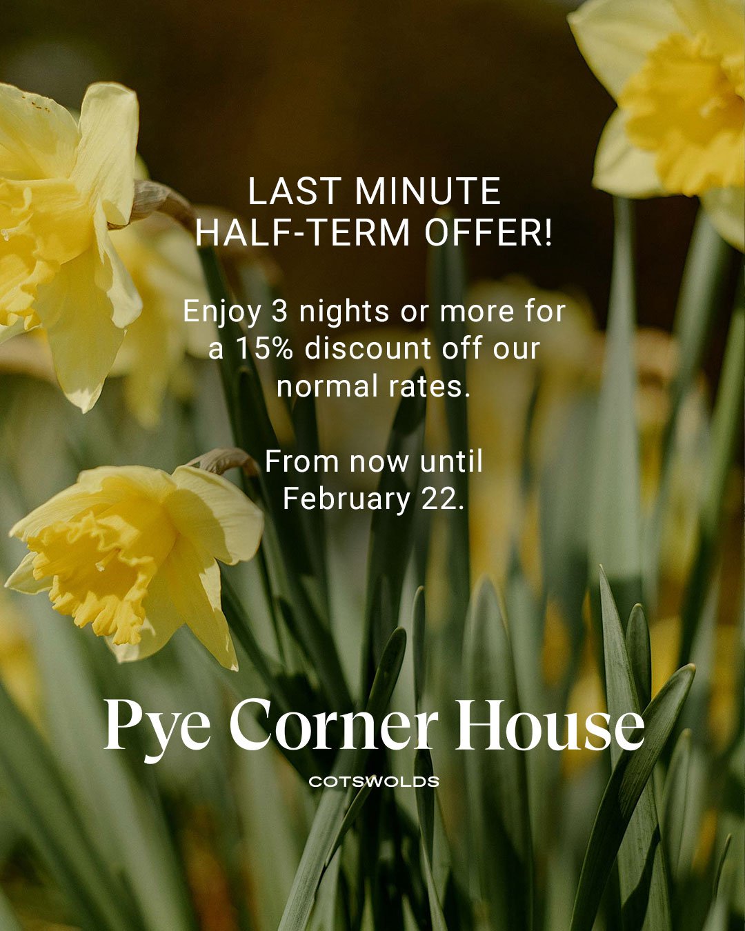LAST MINUTE HALF-TERM OFFER!

Enjoy 3 nights or more for a 15% discount off our normal rates. Explore Broadway Tower, meet animals at Cotswold Farm Park, and make magical family memories! From now until February 22. 
.
.
.
.
#broadwayvillagecotswolds