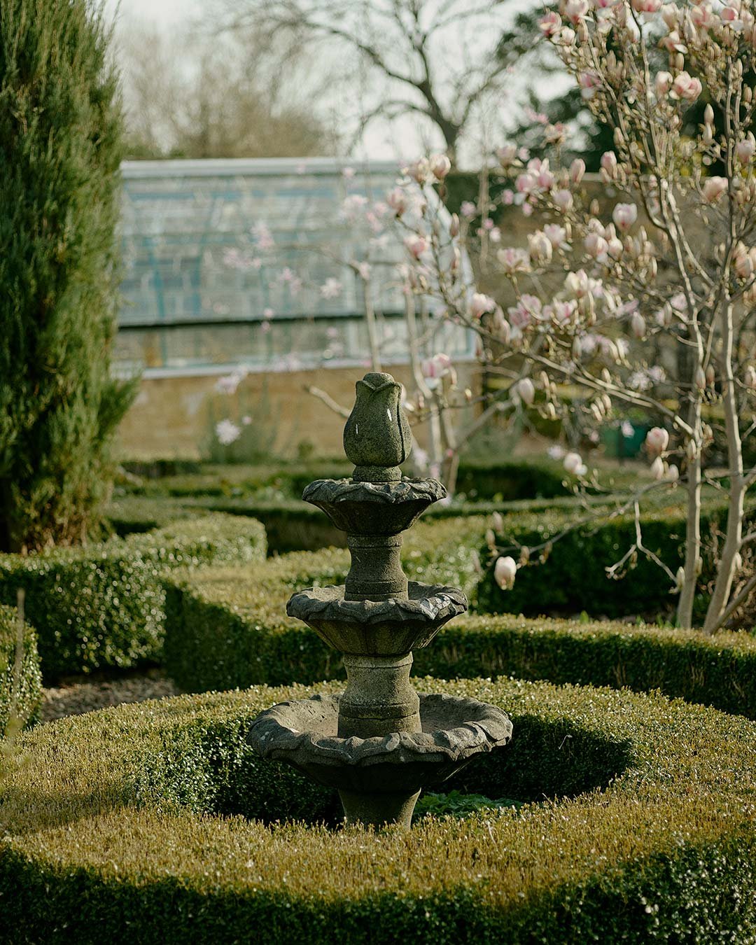 Spring scenes from the garden. 
.
.
.
.
#magnolia #VisitCotswolds #CotswoldsEscape #CotswoldsCottage #CotswoldsLife