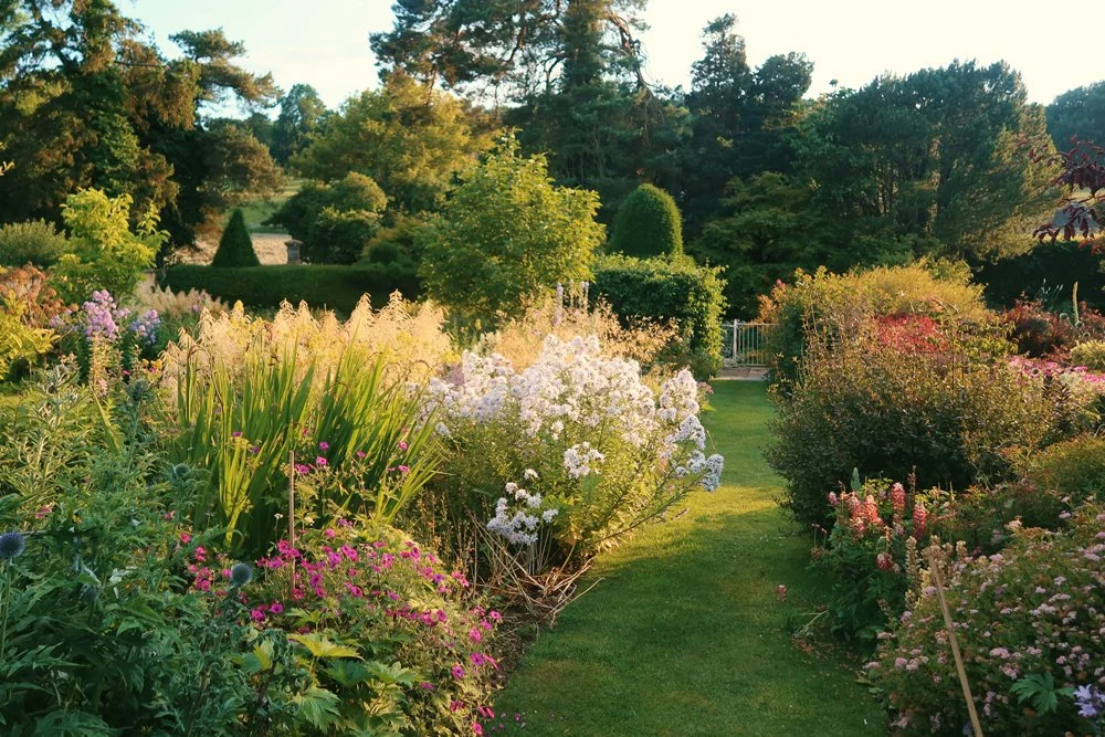 A lush garden with colorful flowers, green bushes, and trees under warm sunlight, with a small pathway through the garden.