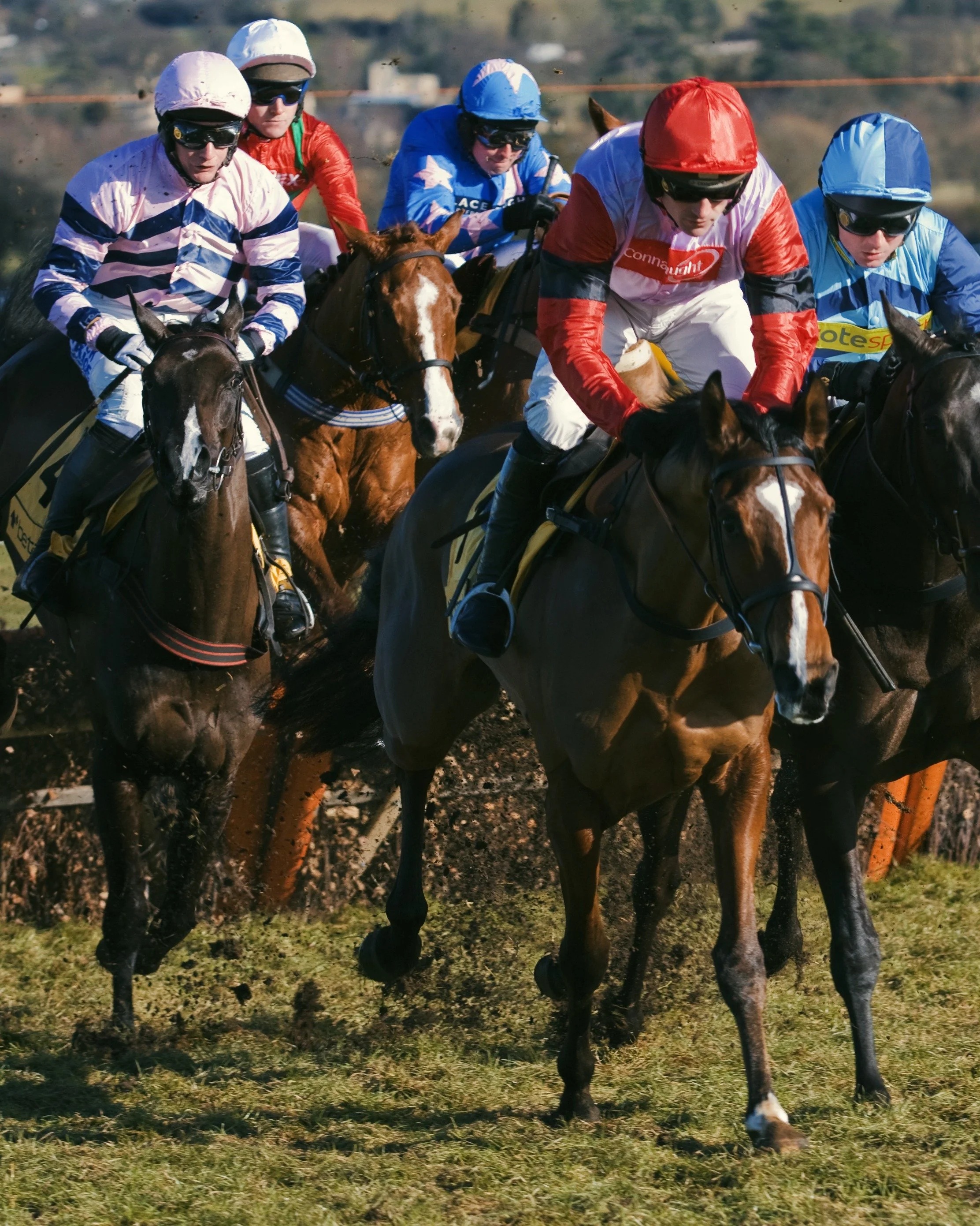 Cheltenham Festival
