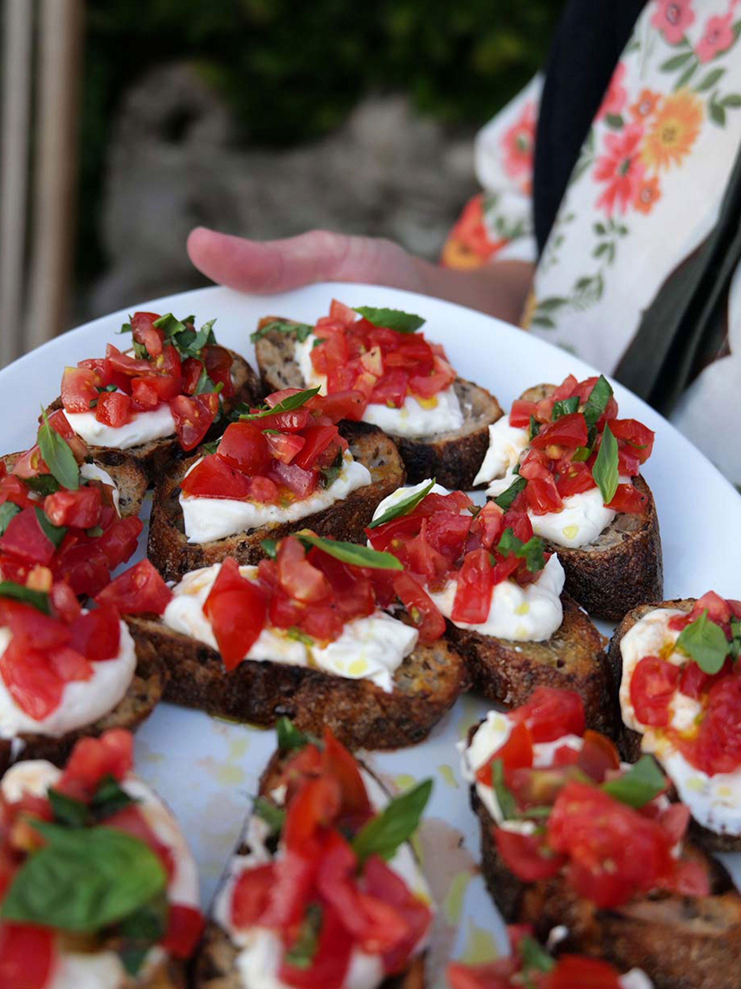 Plate with toasted bread slices topped with mozzarella cheese, chopped tomatoes, and fresh basil leaves.