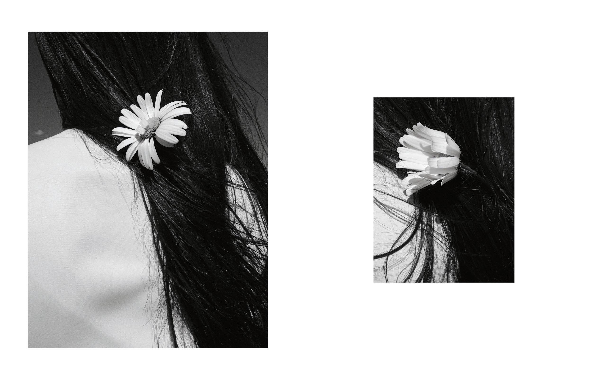 Tea_Book_Layout_2022_Final_Impression_Anglais_Extrait_04.jpg