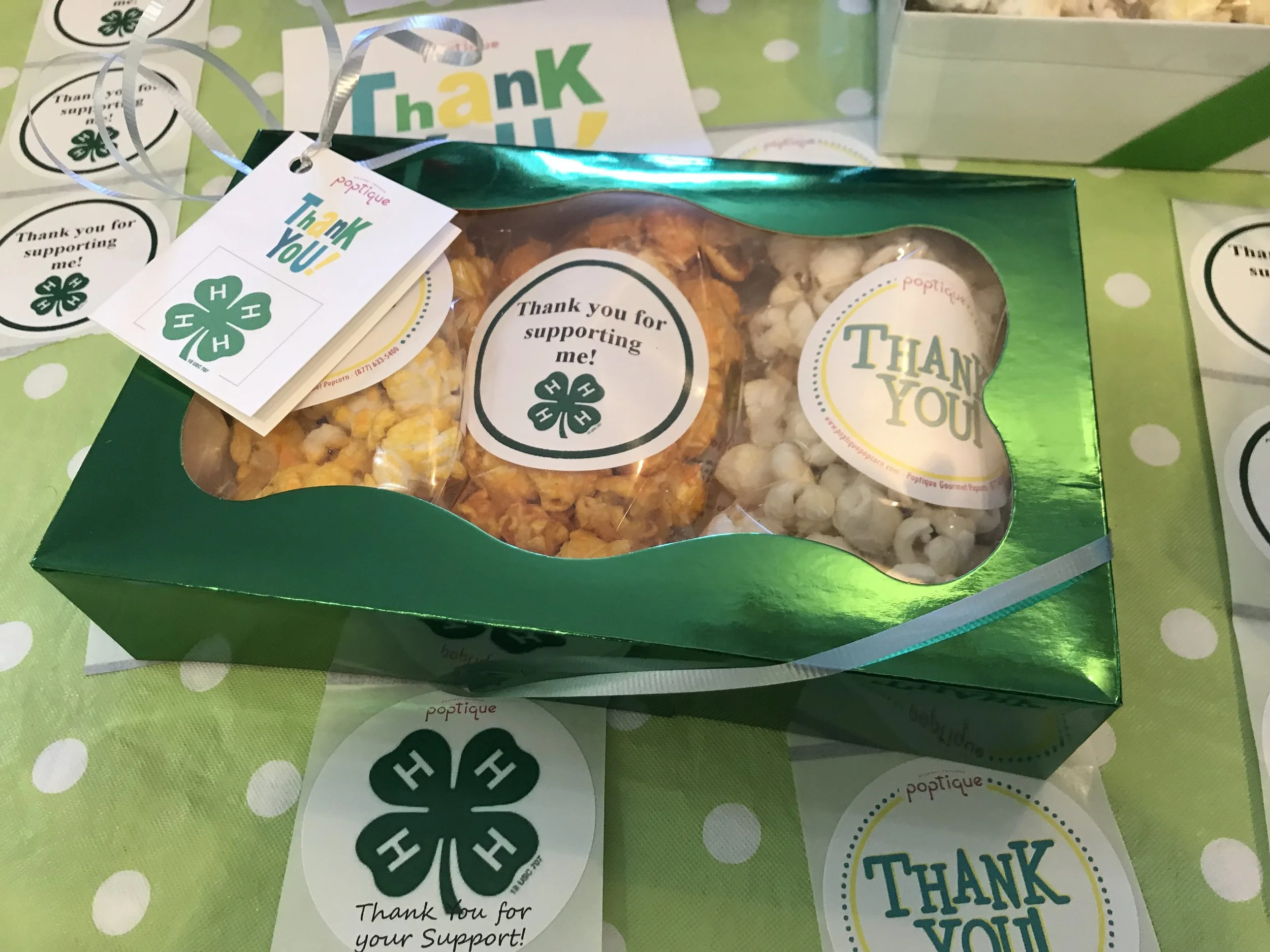 3 Pack Green sampler .jpg