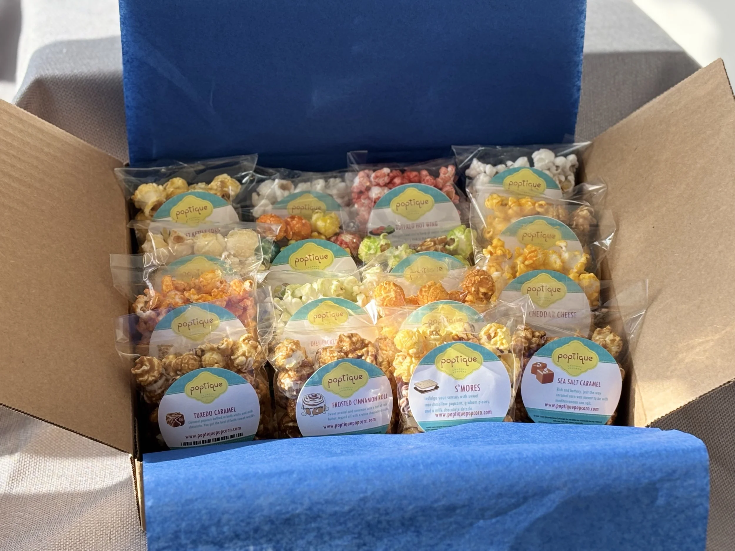 Poptique Sampler boxed2.jpeg