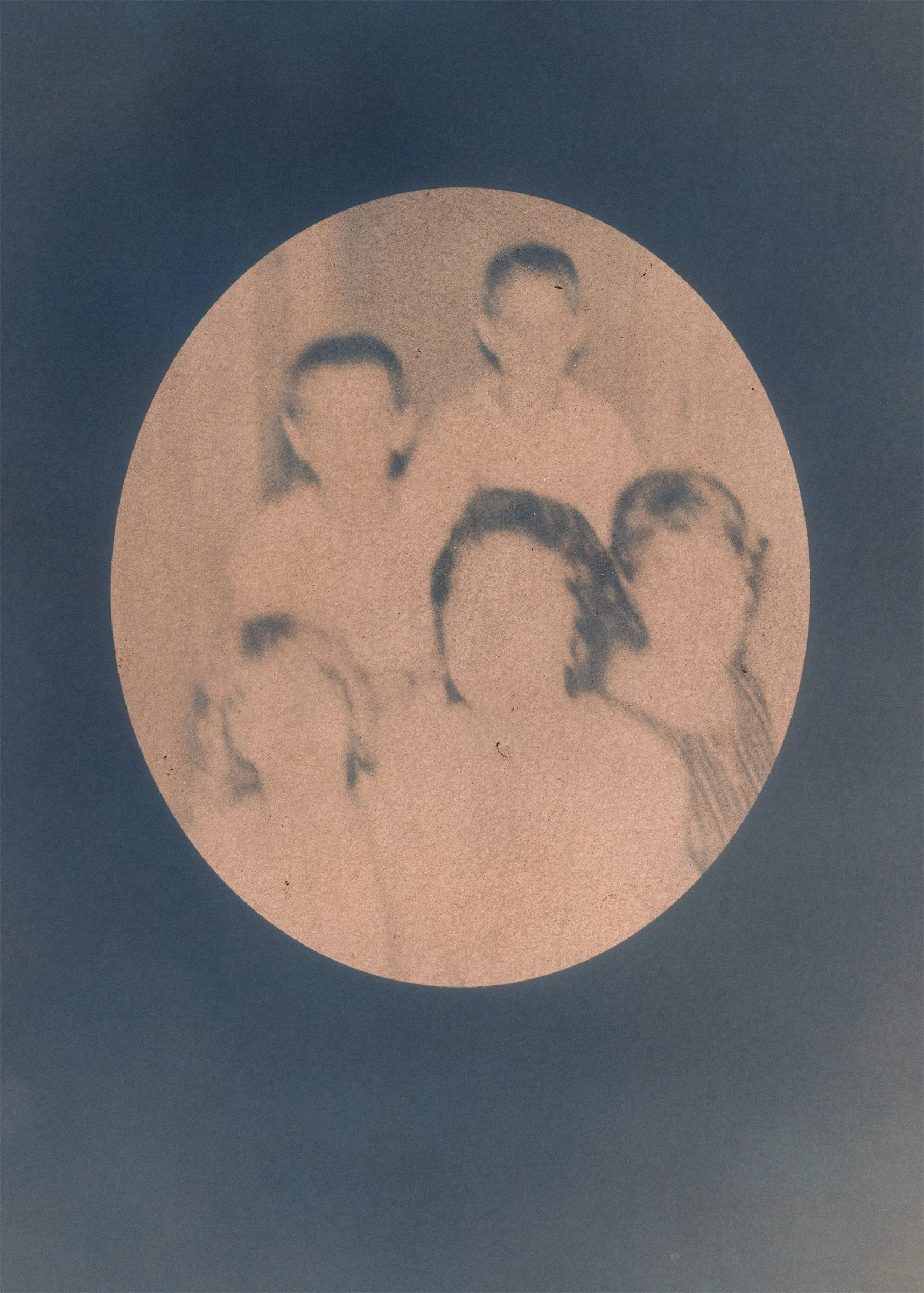 Thistles, Cyanotype, Wine, 2025, from the Libation series