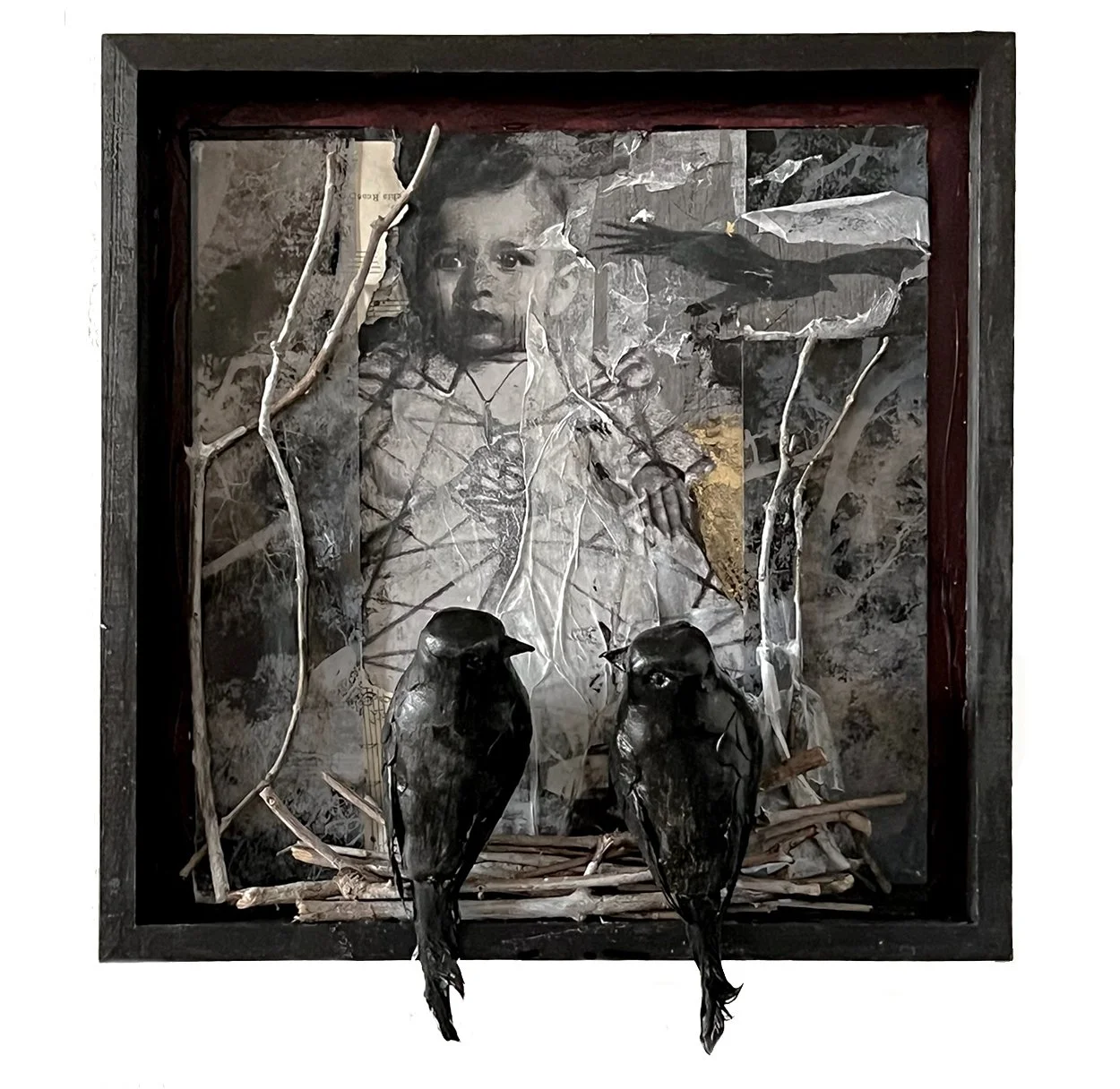 Lullaby of the Avian Prince, from the Vanishing series