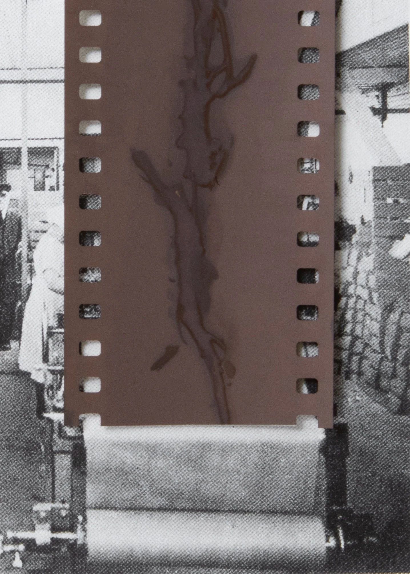 Sarah_Spitzer_Roll goods_from the series The Serlachius Project.jpg