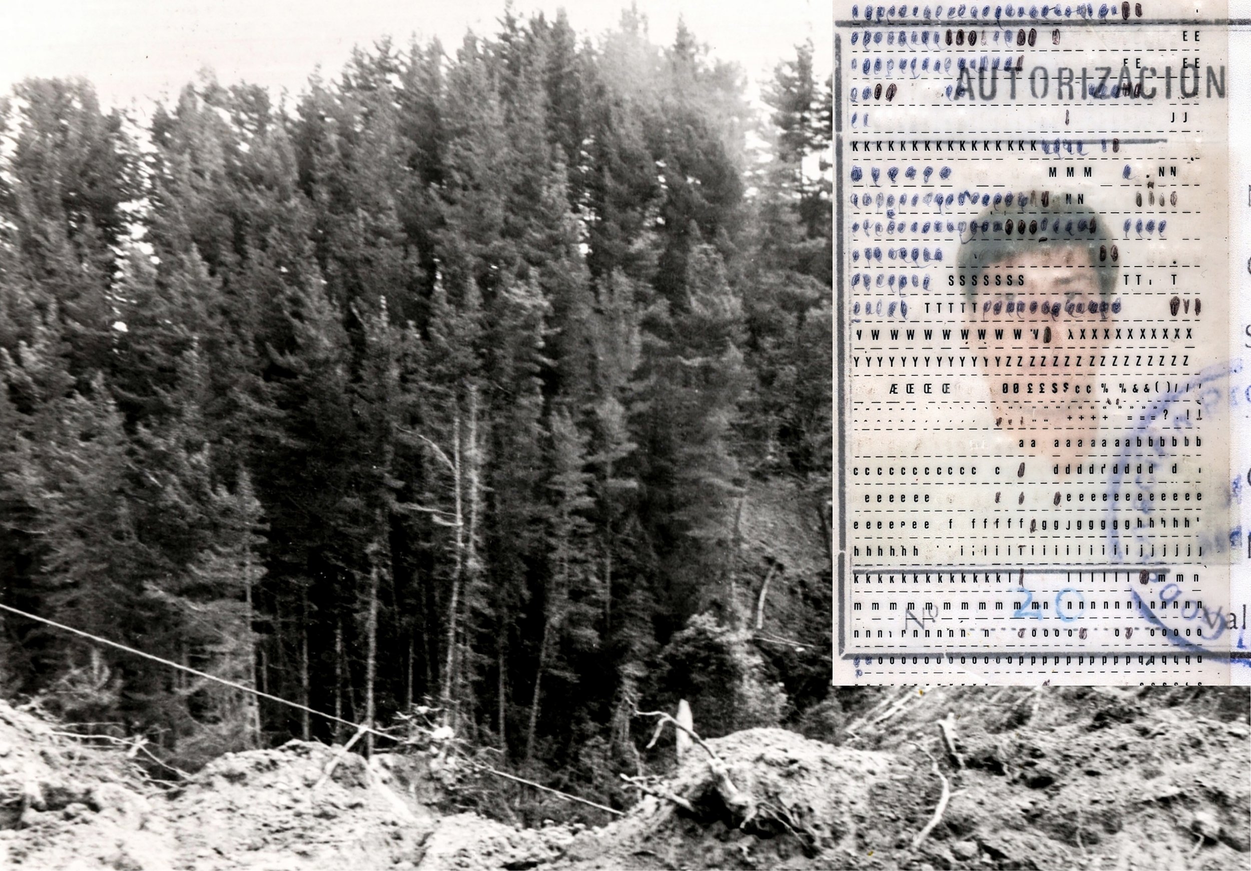 Maite Mérida | Authorization | 46 x 32 cm | Photo collage