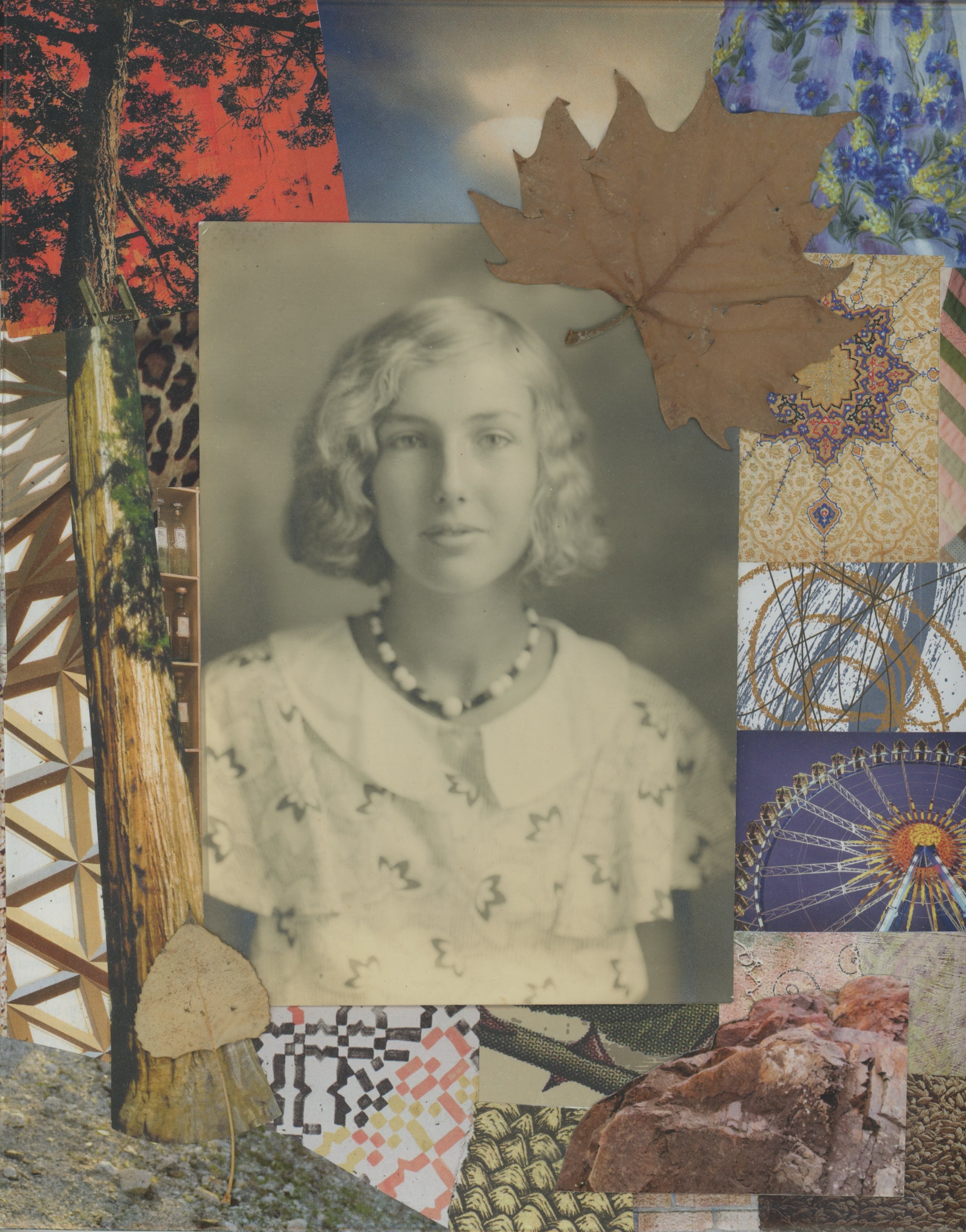 Jennifer Lentfer | Girlhood | 8.5" x 11" in | Photograph, magazine and organic material on paper