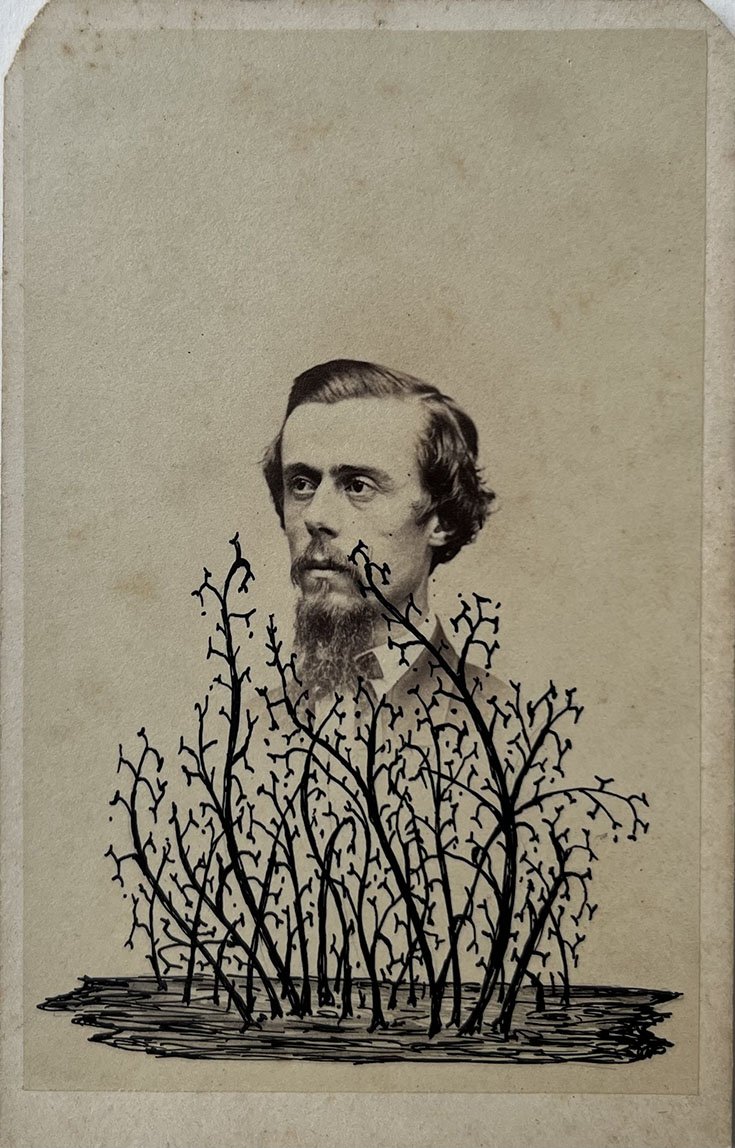 Maureen G. Manning | Lost in the Lichen | 4" x 2.5" in | Photo with ink